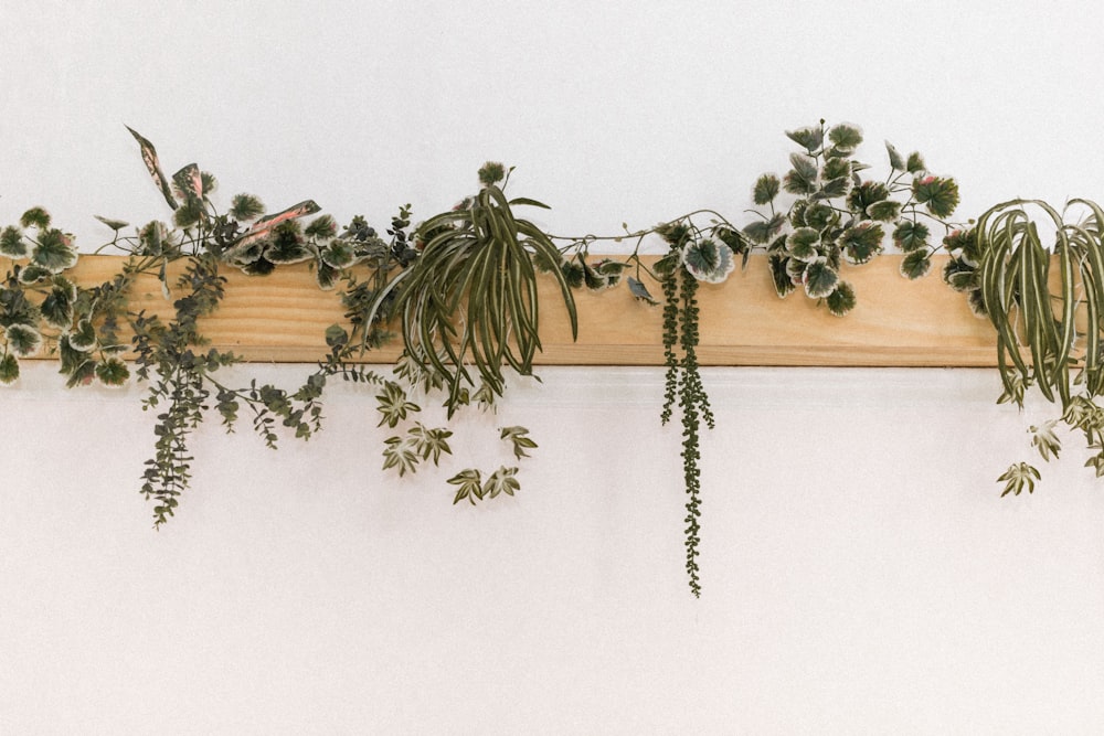 Decoración de pared de madera marrón en pared blanca