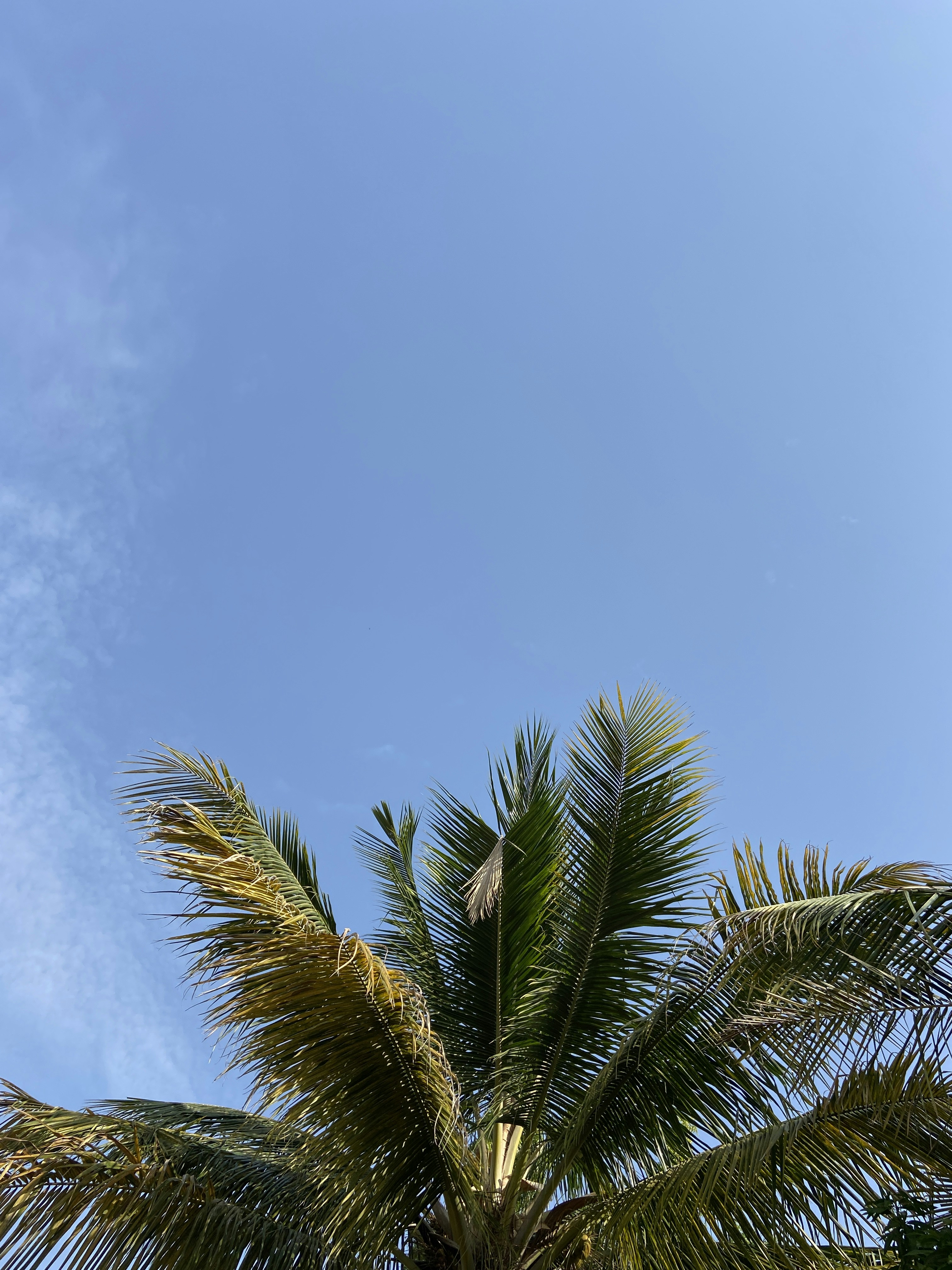 Photo by swapnil_vasave