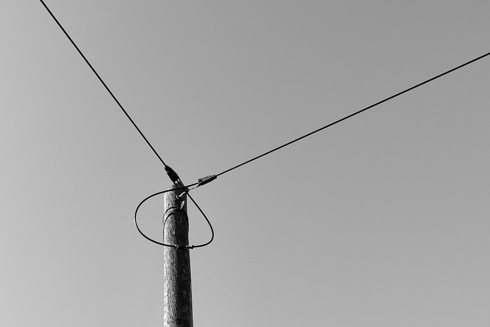 palo elettrico nero sotto il cielo grigio