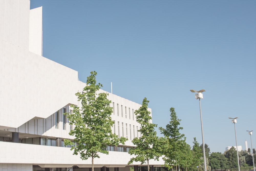 white concrete building near green tree under blue sky during daytime