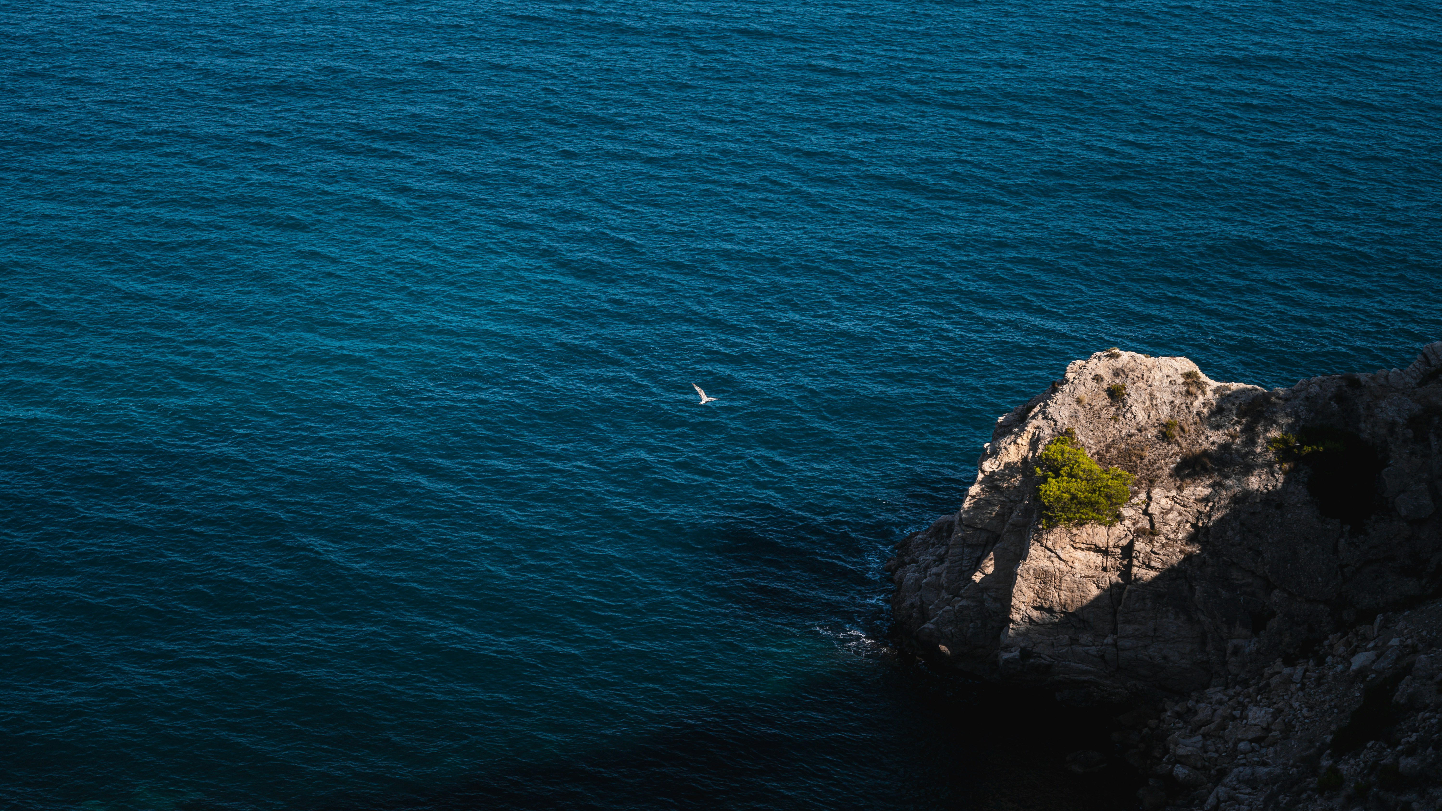 Photo by israelnascs