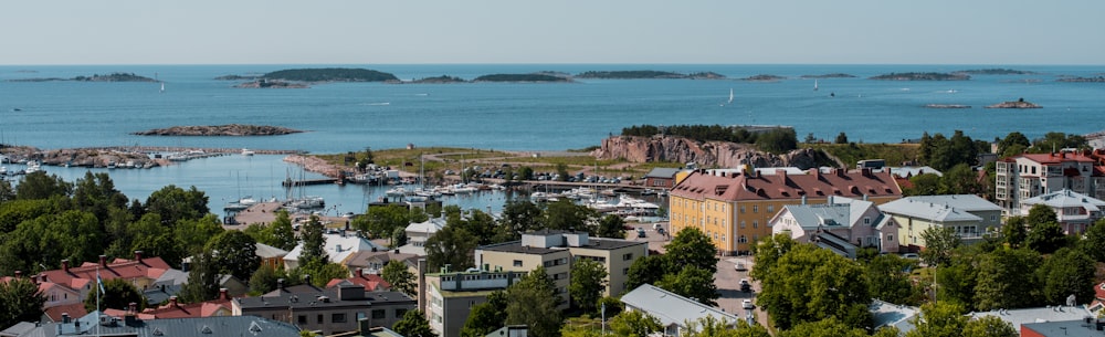 aerial view of city buildings near body of water during daytime