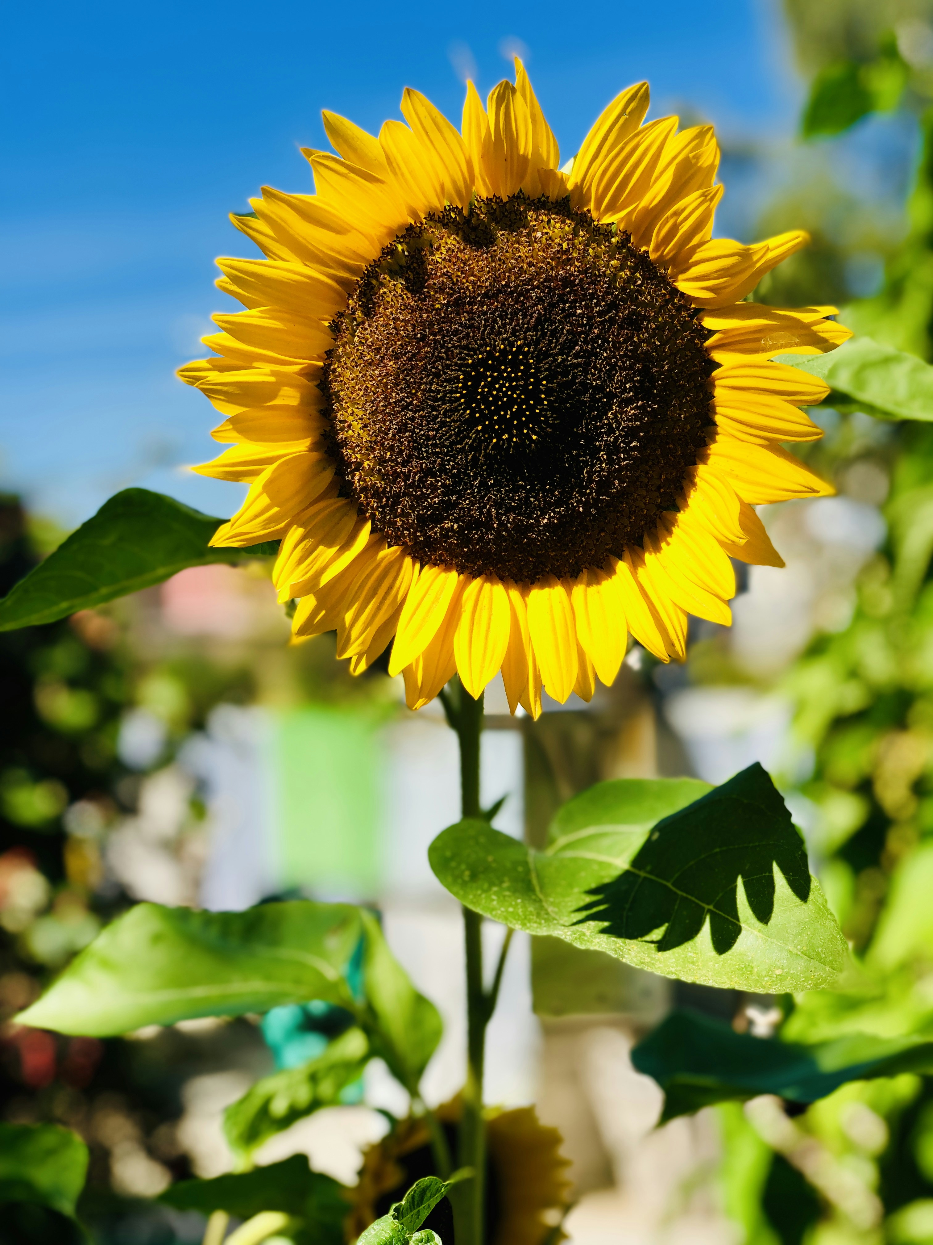 Photo by truth_from_africa_photography