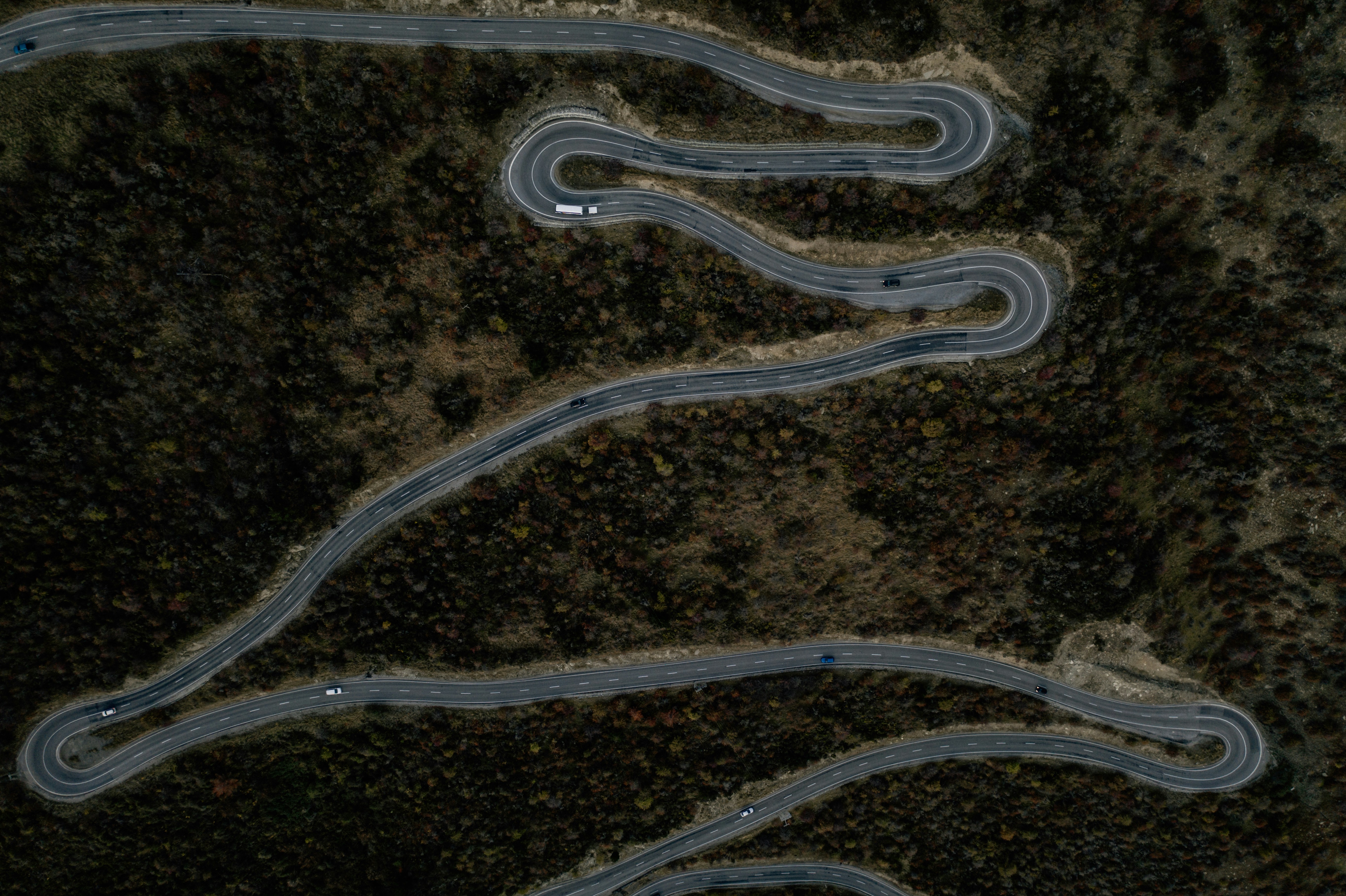 Photo by joshwithers