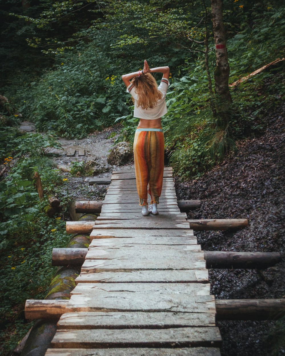 brown and white short coated dog on brown wooden bridge