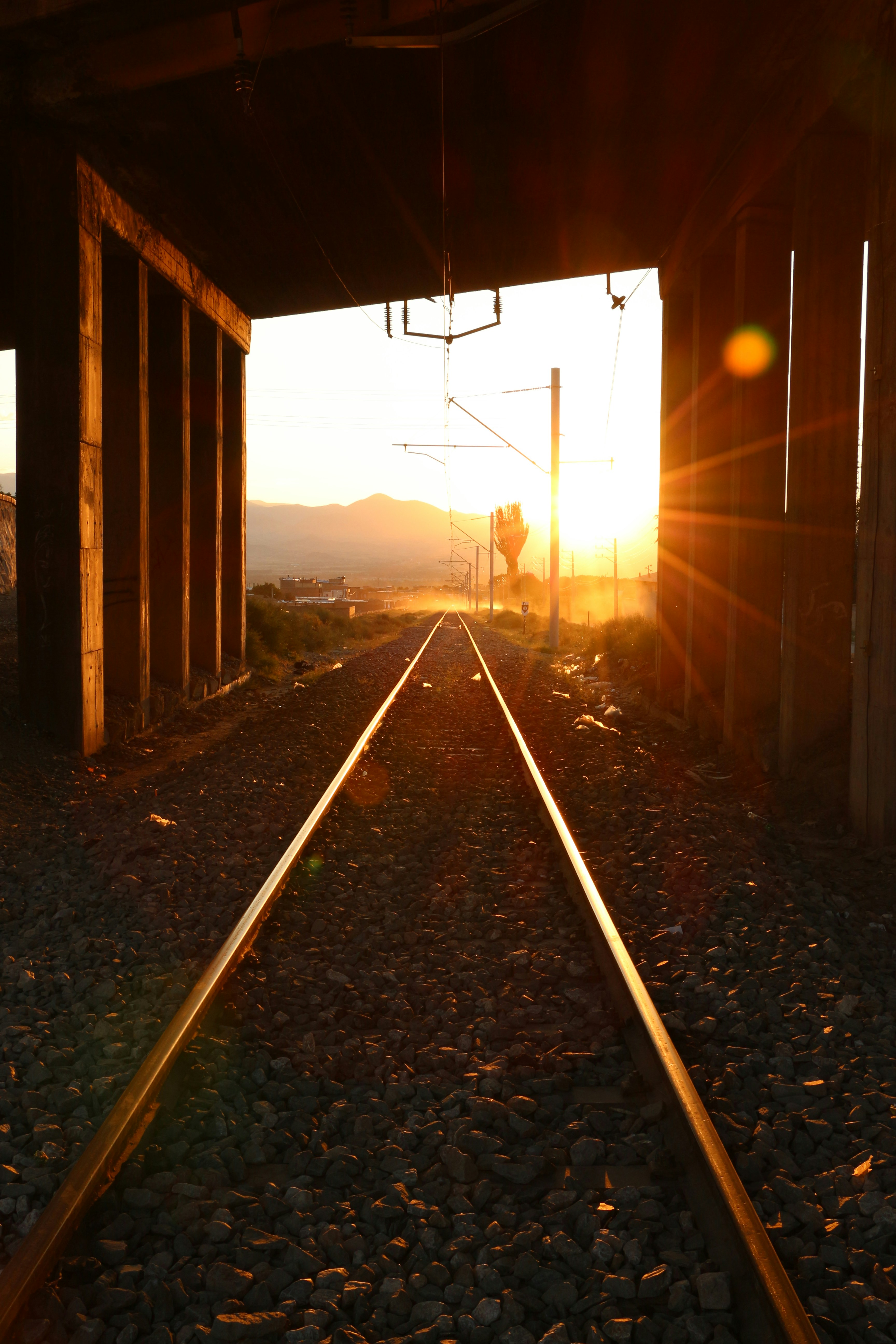 photo-1596801042966-ba78d8832433?q=80&w=687&auto=format&fit=crop&ixlib=rb-4.0.3&ixid=M3wxMjA3fDB8MHxwaG90by1wYWdlfHx8fGVufDB8fHx8fA%3D%3D