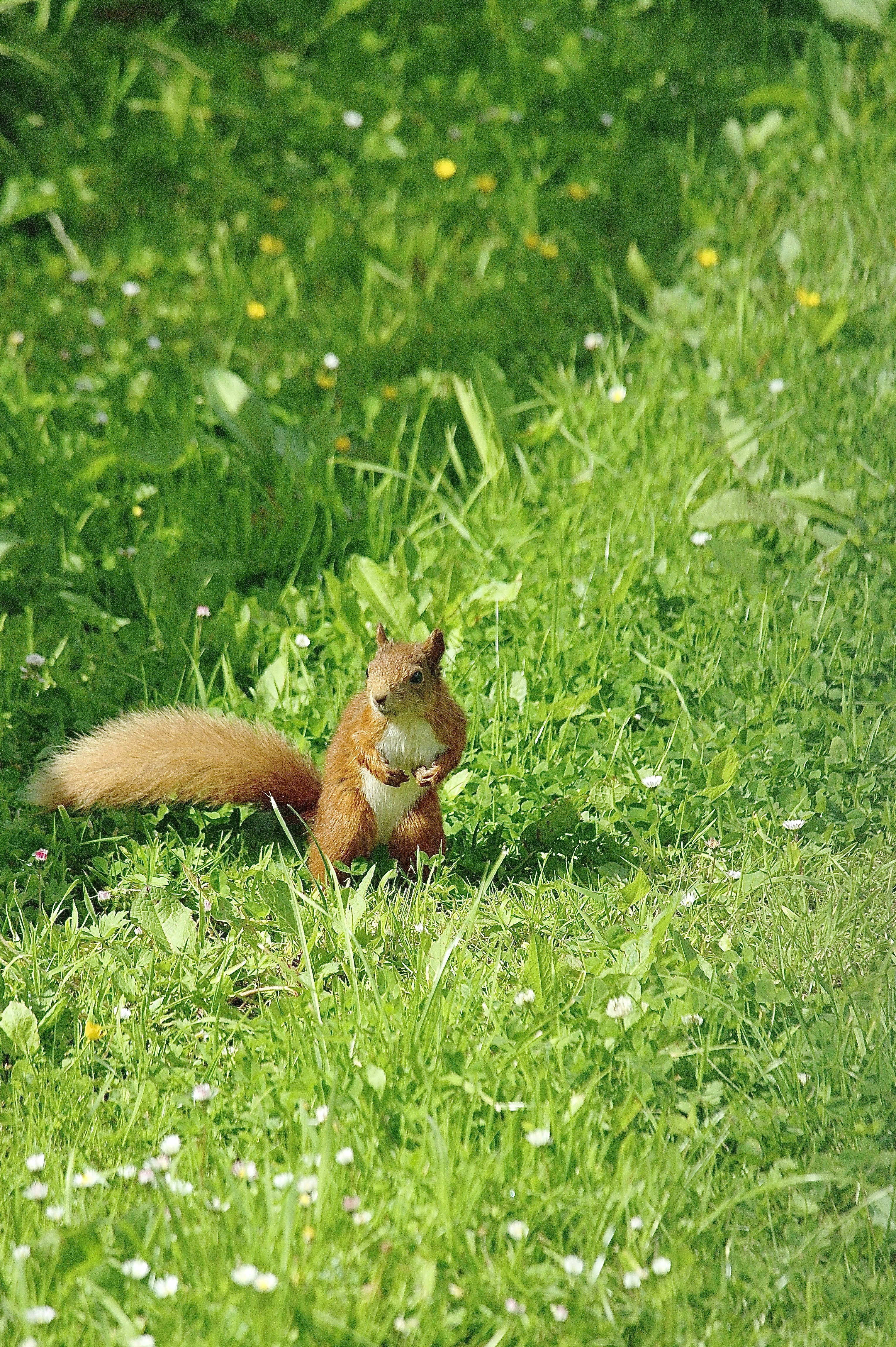 Photo by charlottebrayleyartist