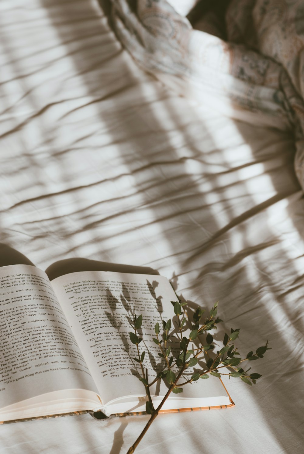 green plant on white textile