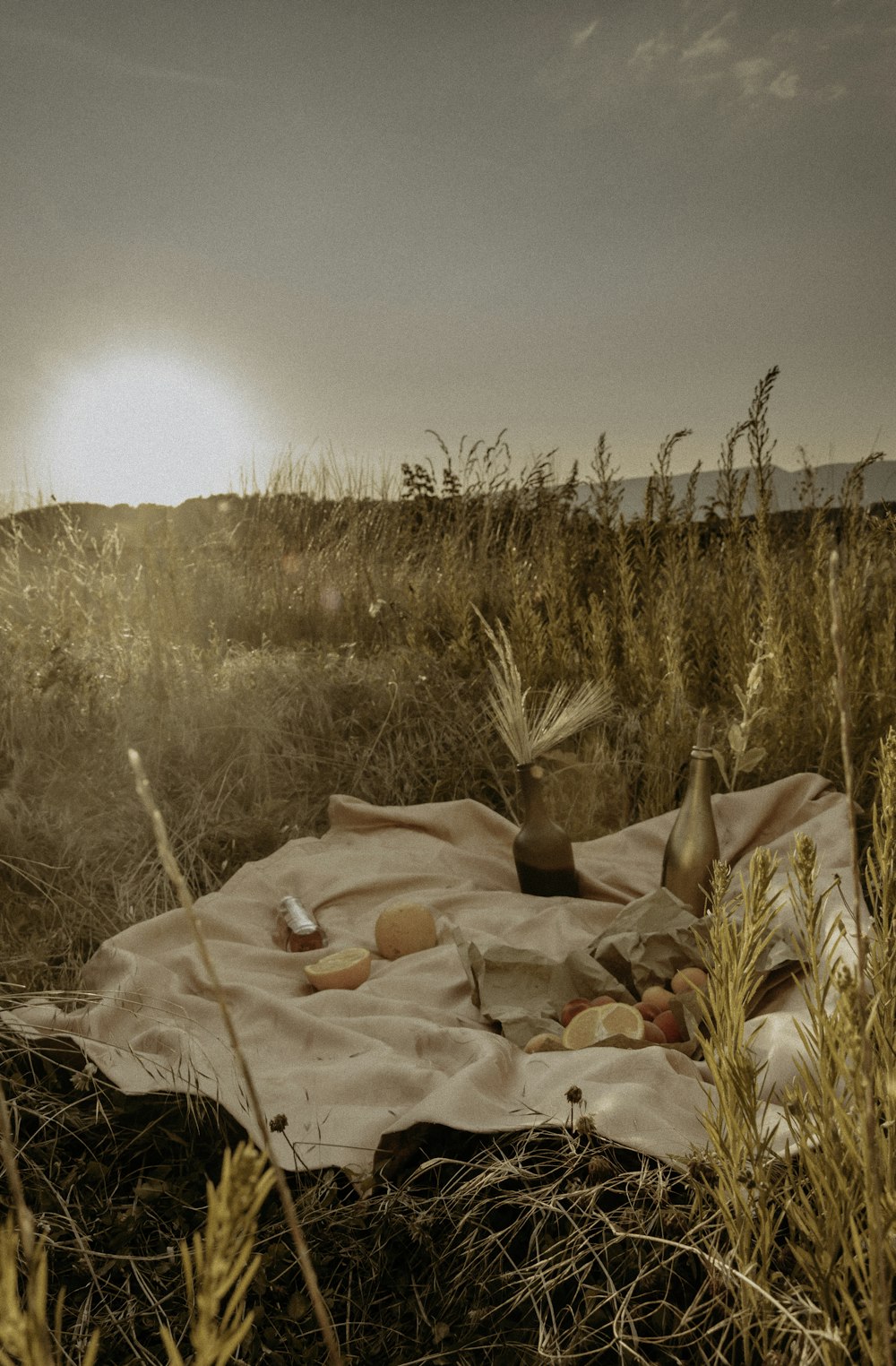 brown dried grass on brown field during daytime