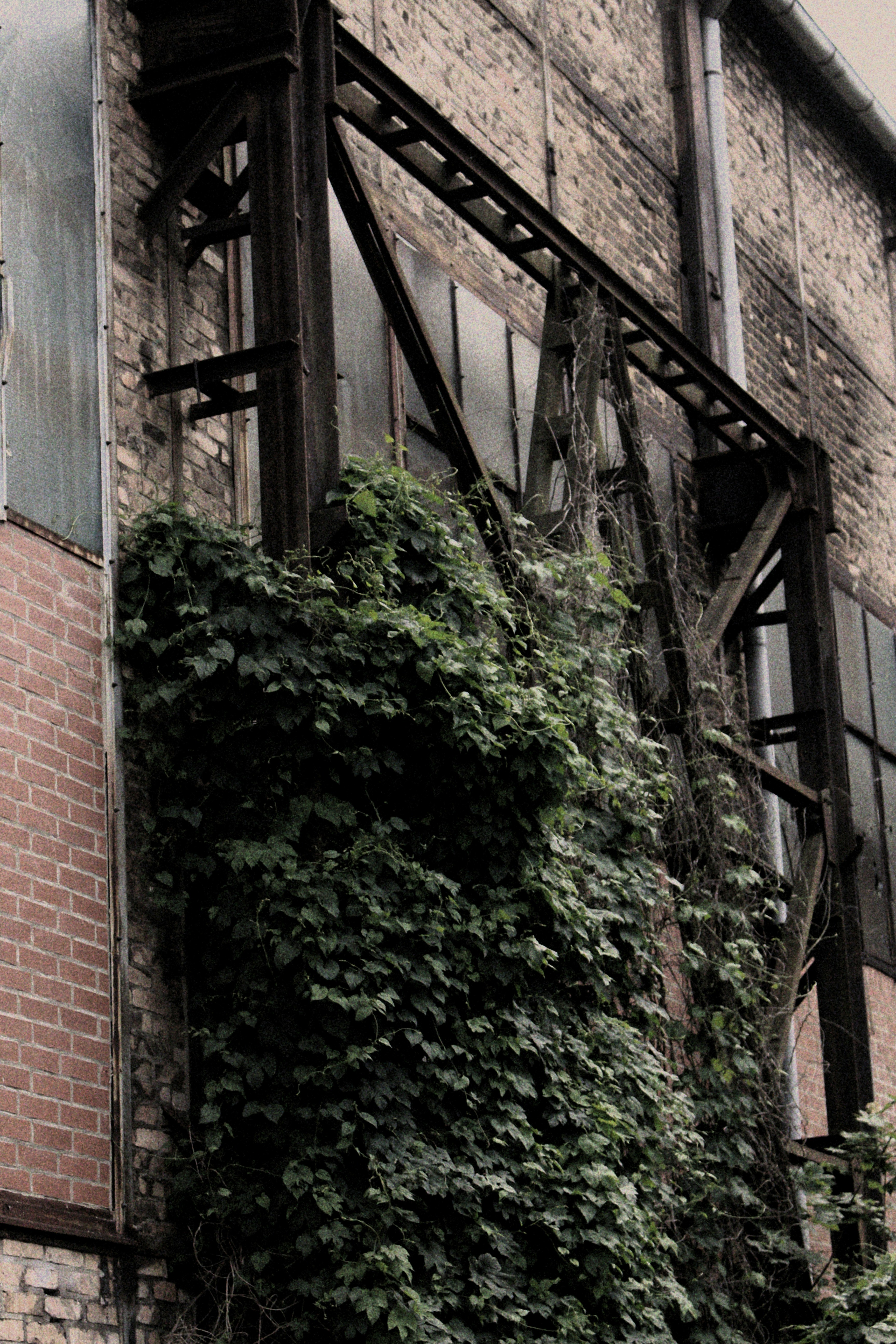 Photo by jujudreaminx