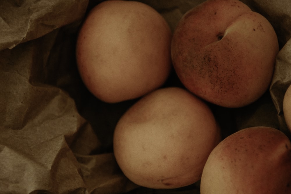 brown egg on brown dried leaves