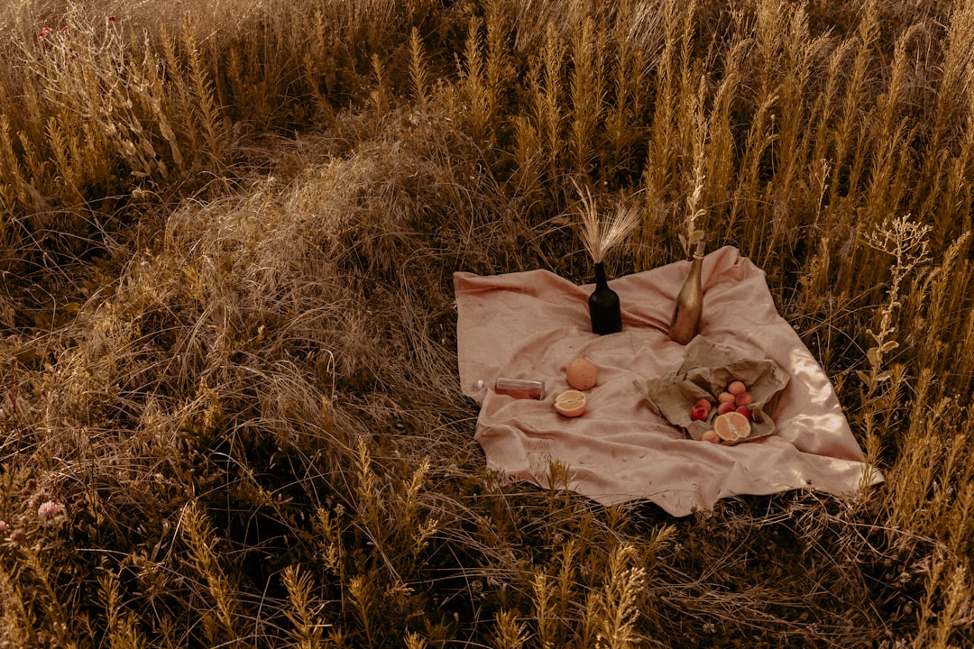 pink textile on brown grass