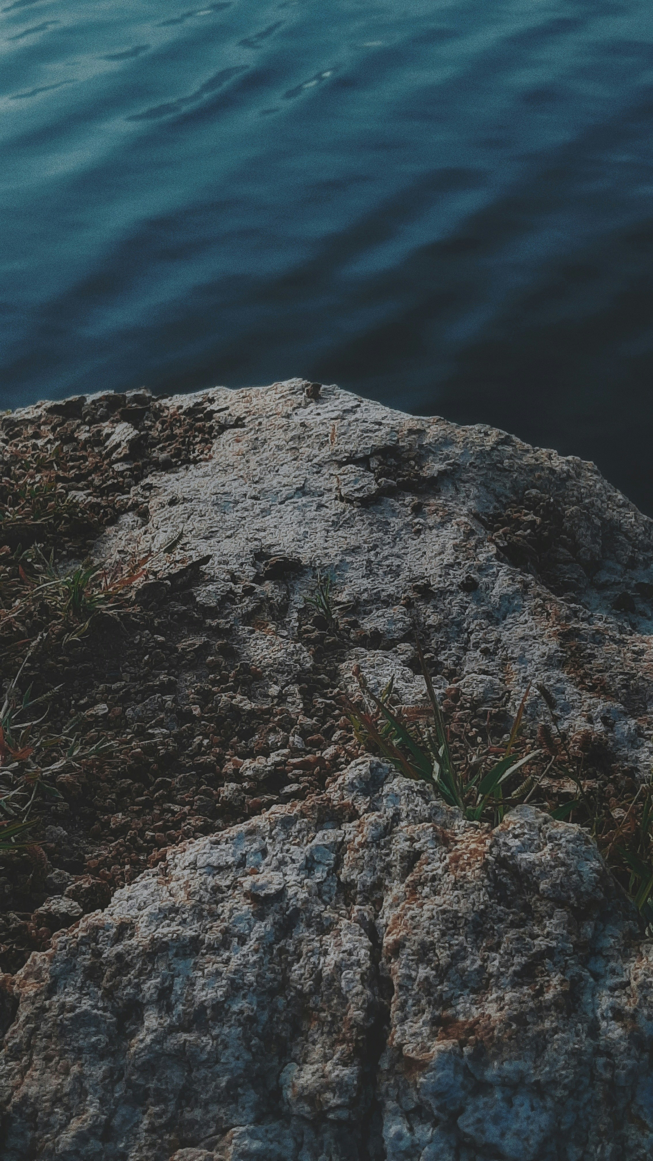 Photo by jenson_mathew