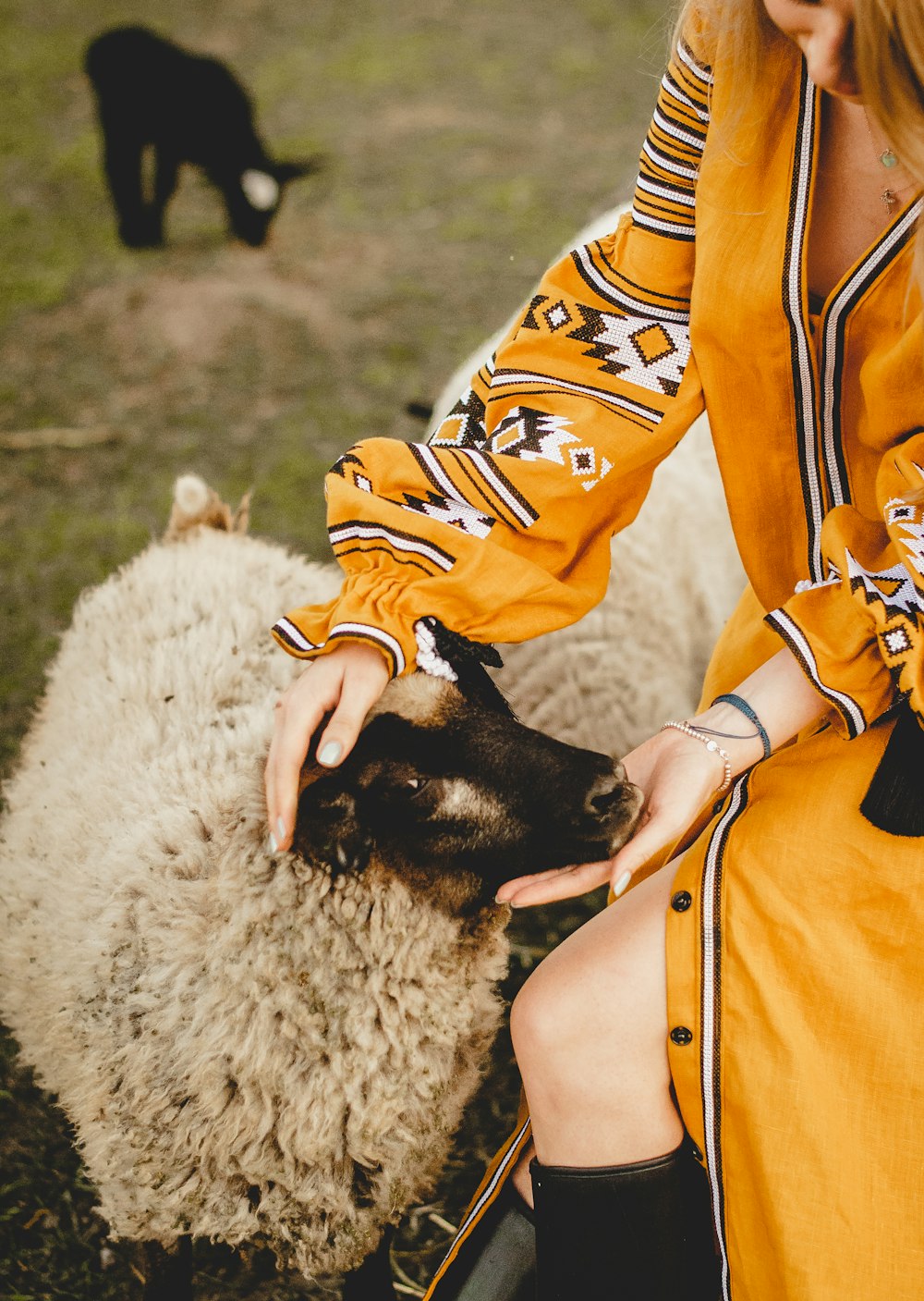 person in orange and white stripe shirt holding white sheep