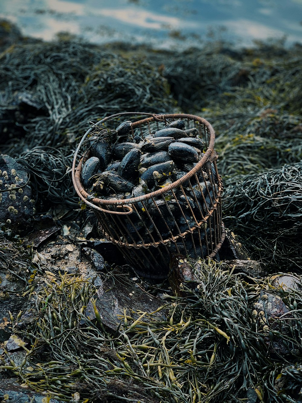 Cesta redonda negra en el suelo