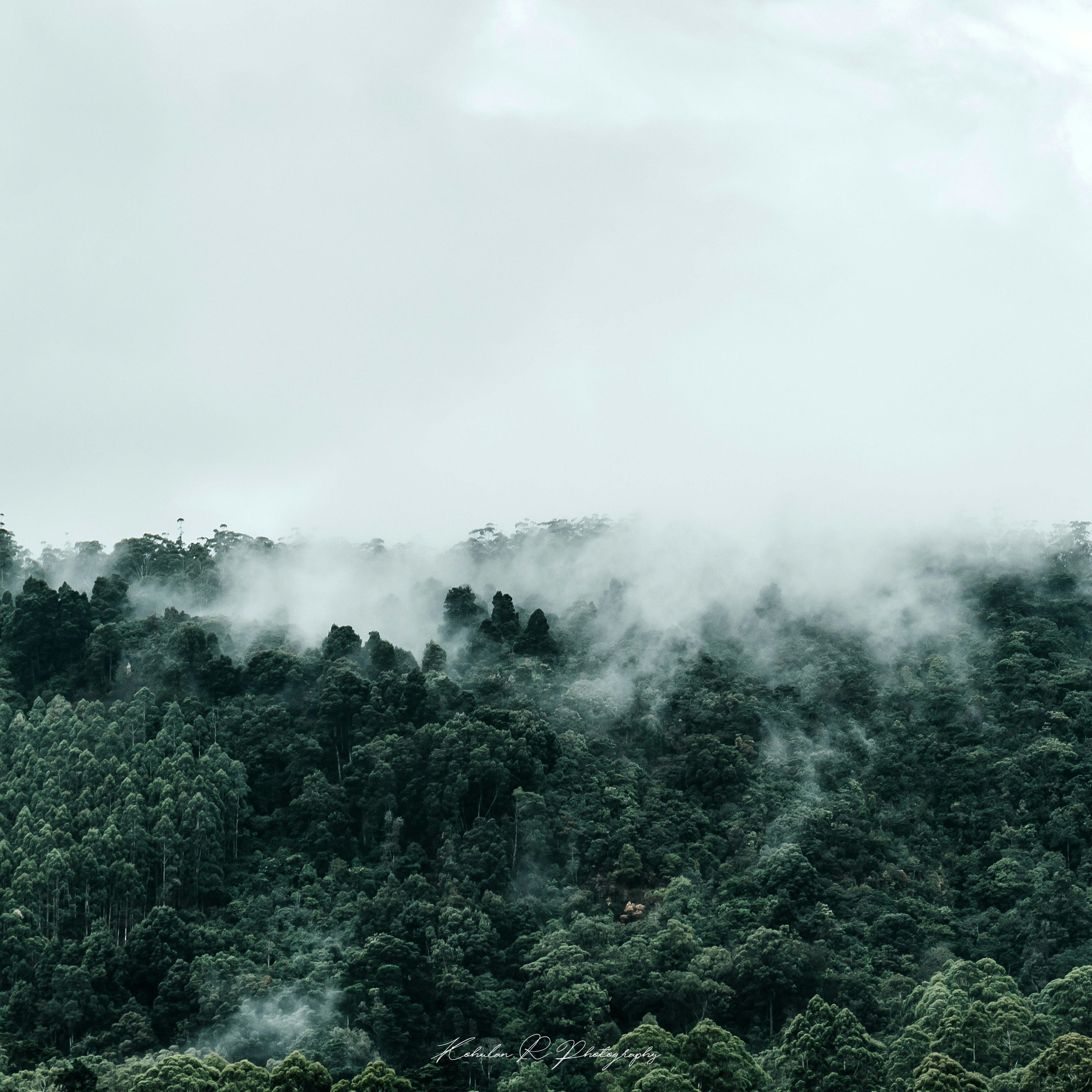 Photo by krazziegrim