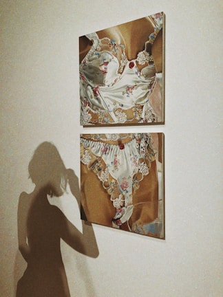 Two framed textile artworks hang on a wall featuring intricate lace and floral patterns. The artworks are depicted with a satin-like texture and intricate designs. In front of the frames, the silhouette of a person is cast on the wall, adding depth and a subtle interaction between the art and the environment.