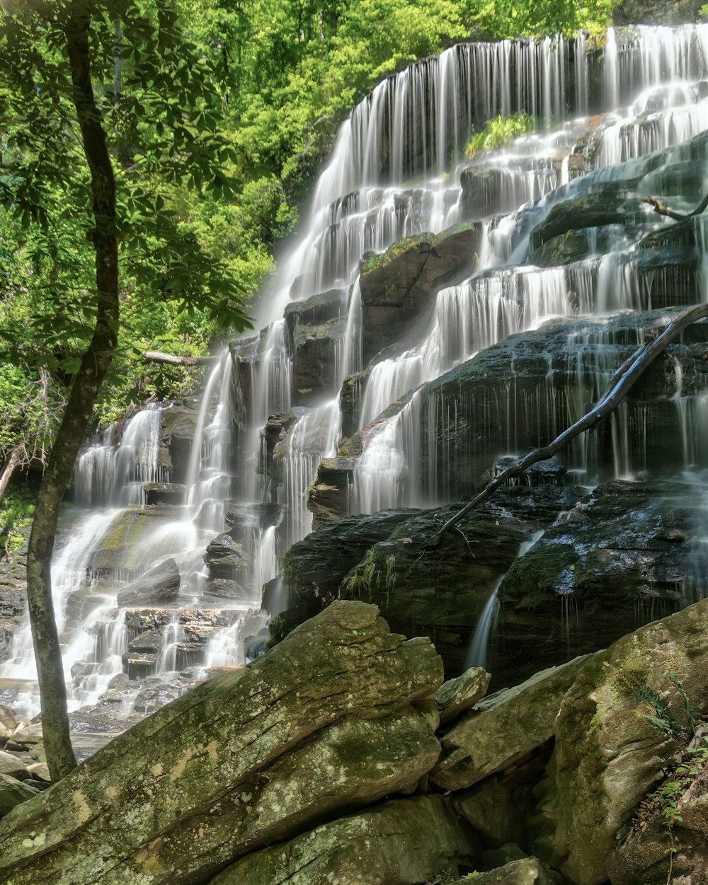 Cascadas en medio del bosque