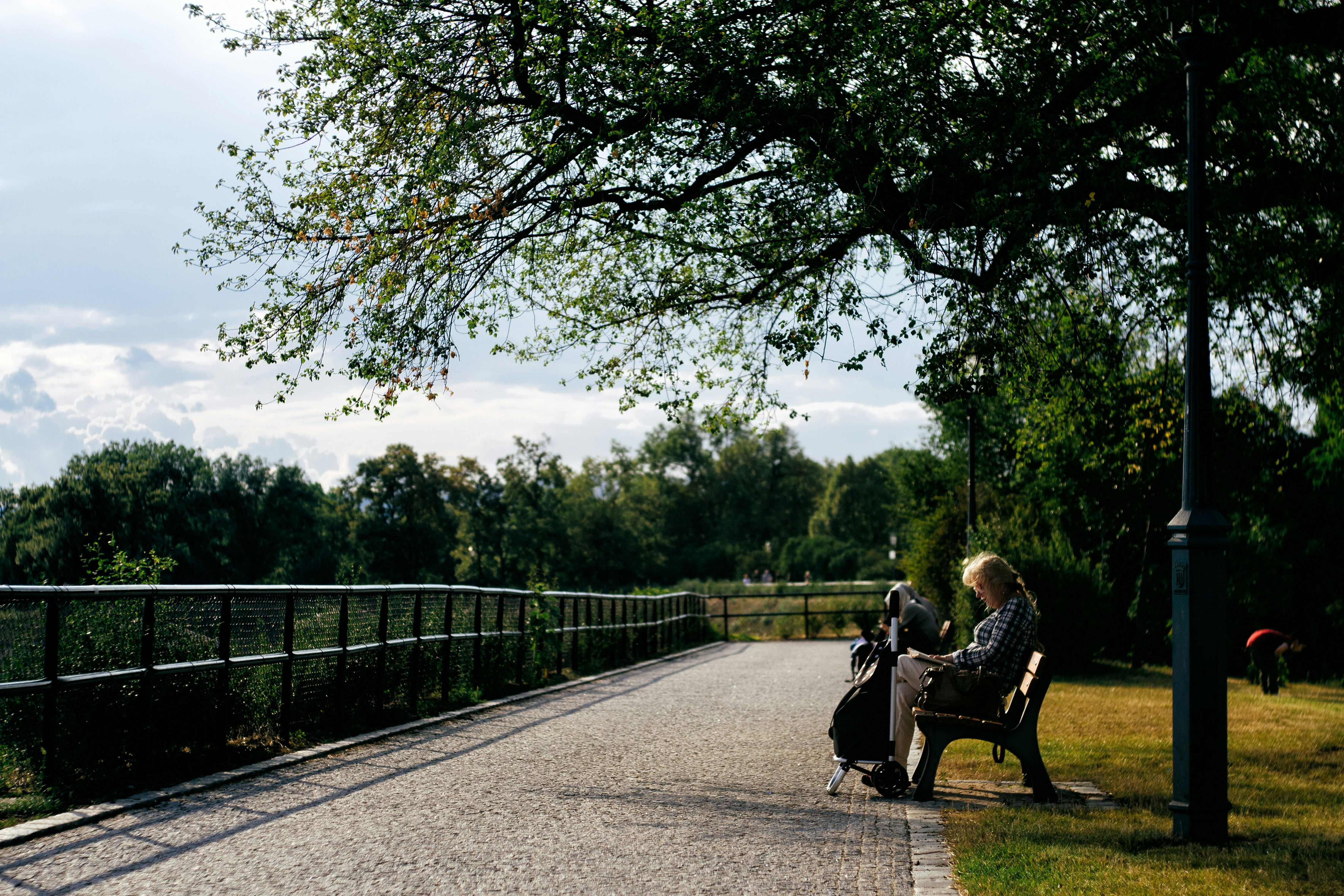 park u školy