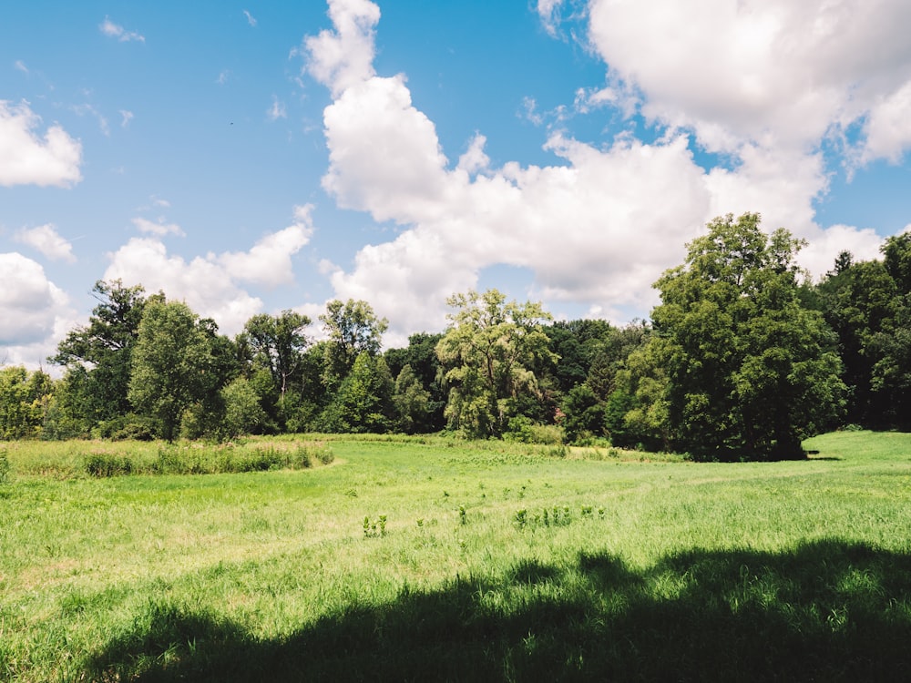 green grass field with green trees under blue sky and white clouds during daytime