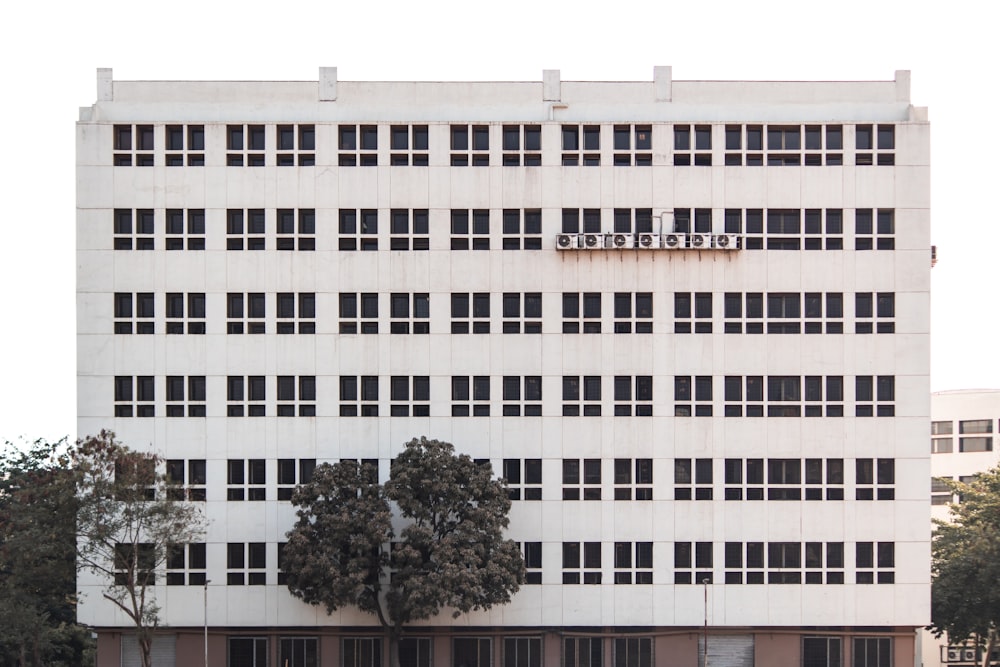 brown and white concrete building