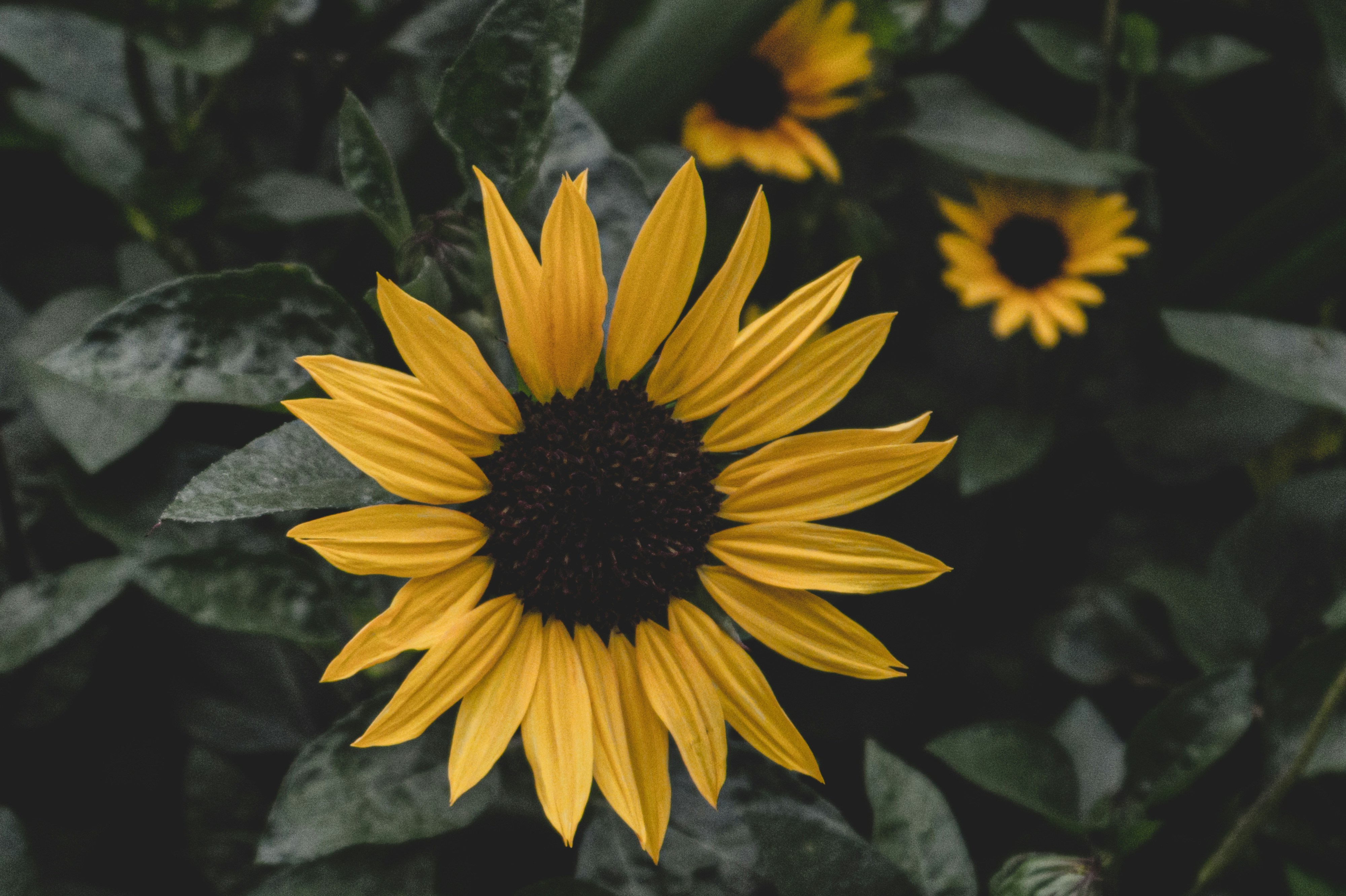 Photo by chansummerla