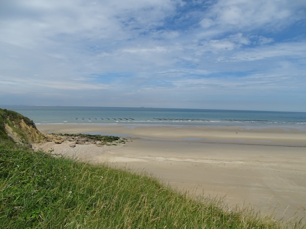 green grass field near sea under blue sky during daytime