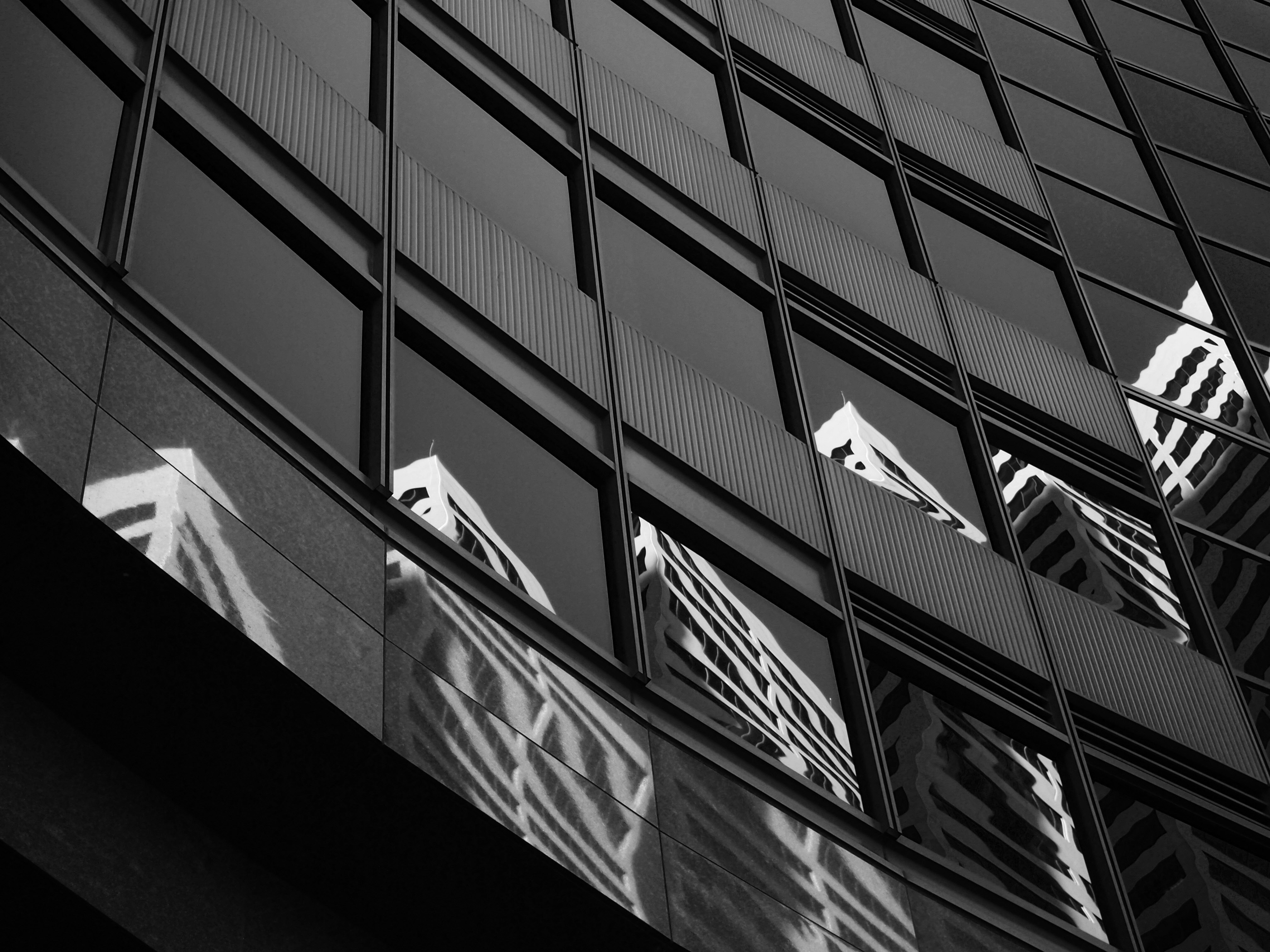 Making your vision become a reality