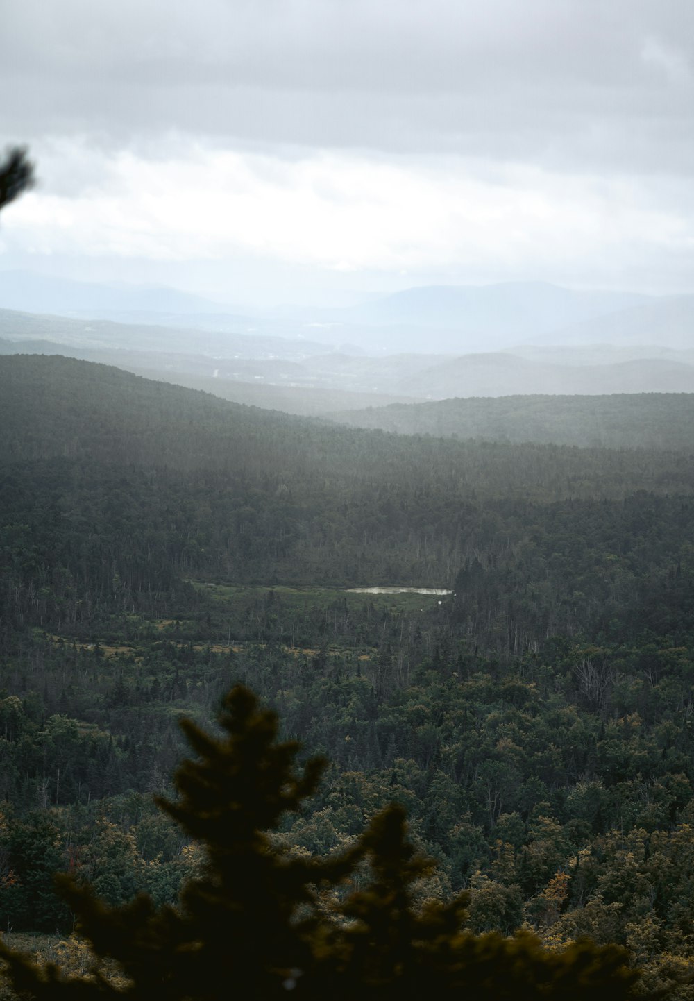 green trees on mountain during daytime