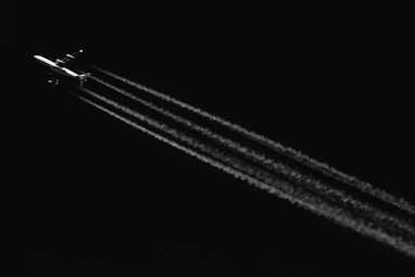 black and white line illustration