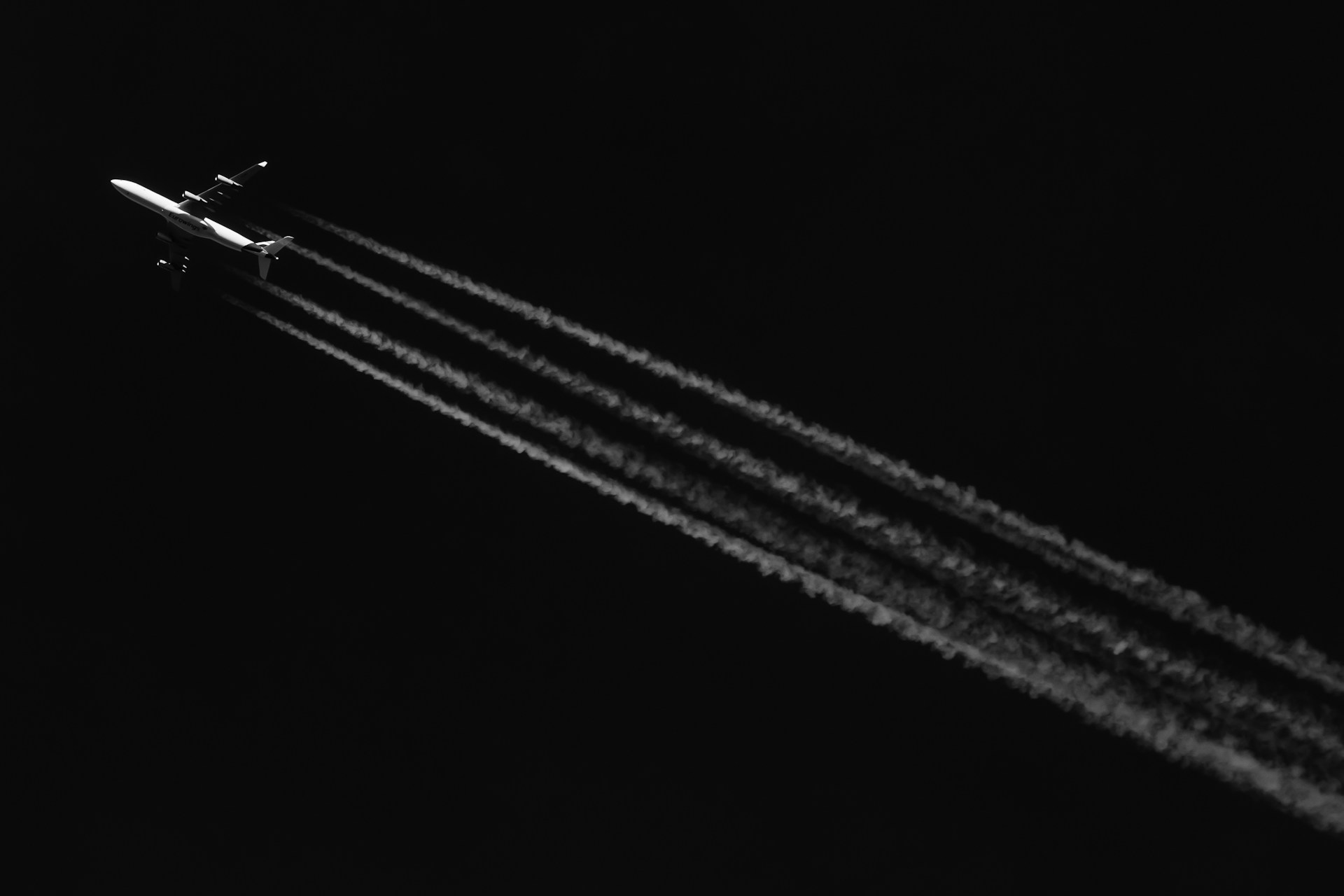 black and white line illustration