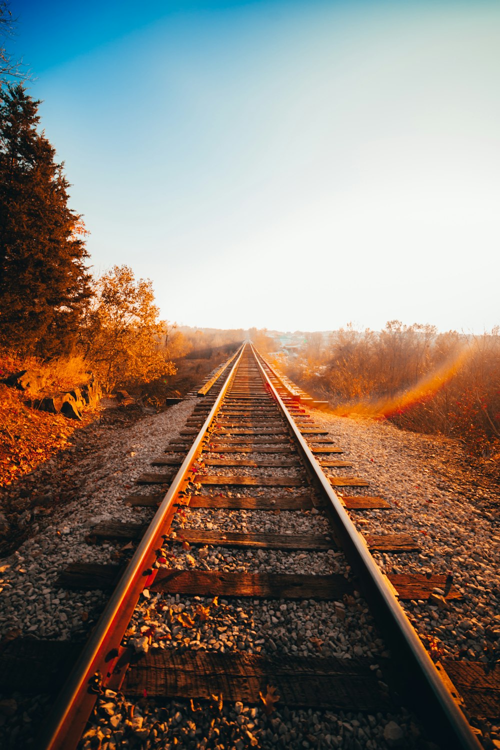 train rail between trees during daytime