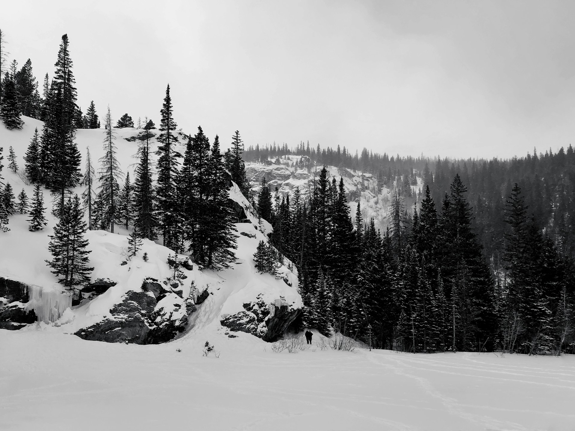 green pine trees on snow covered mountain