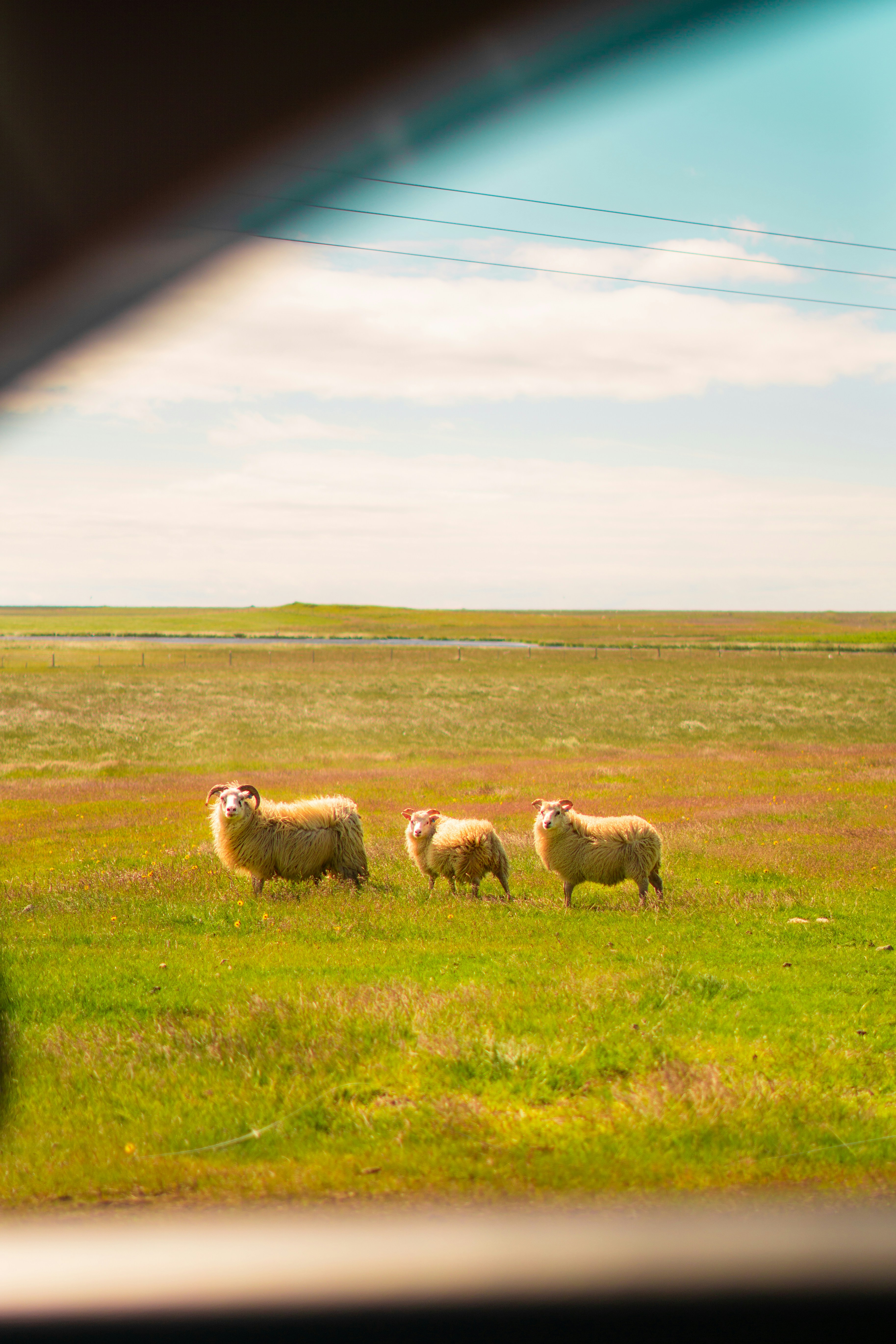 Photo by davidbenesph