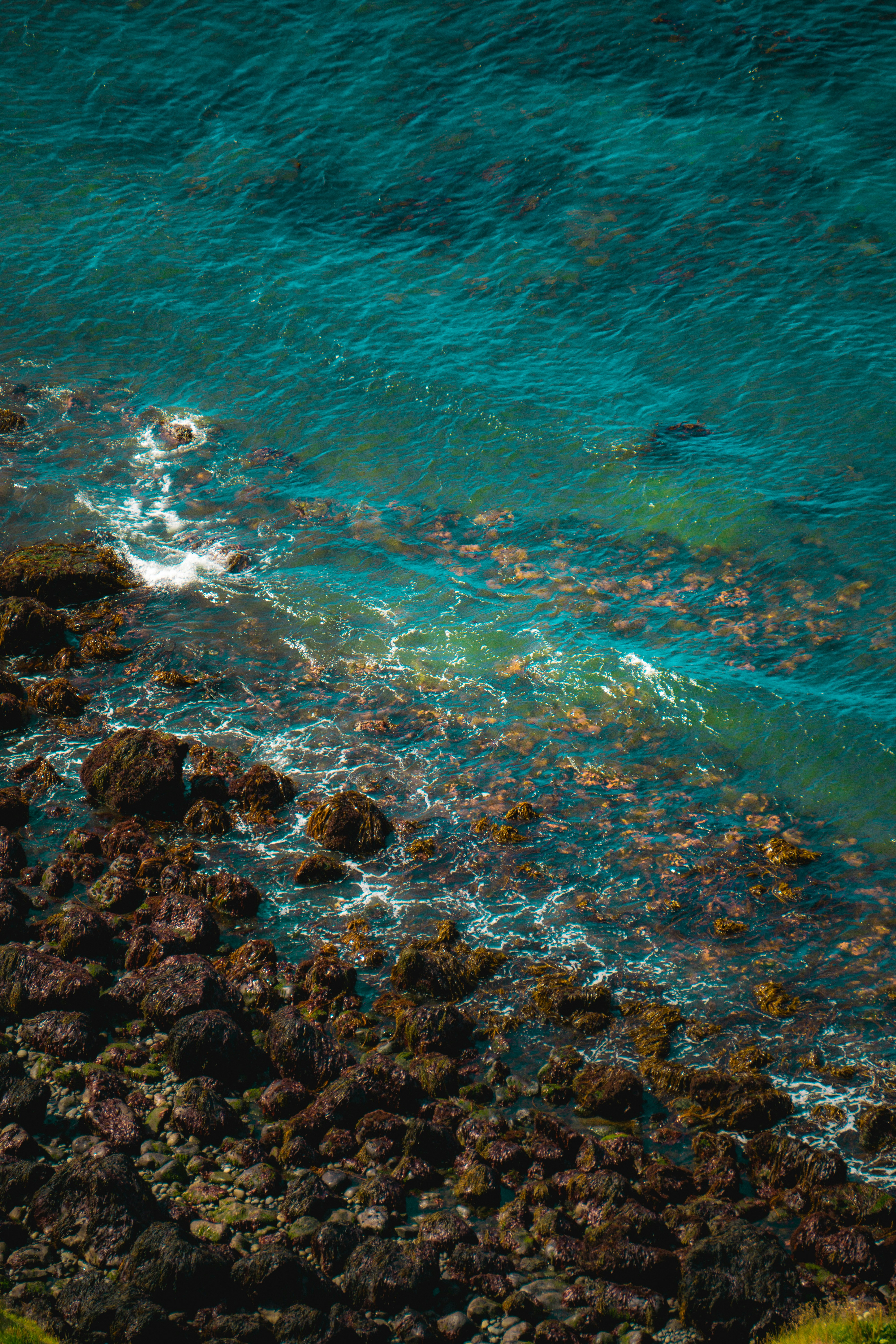 Photo by davidbenesph