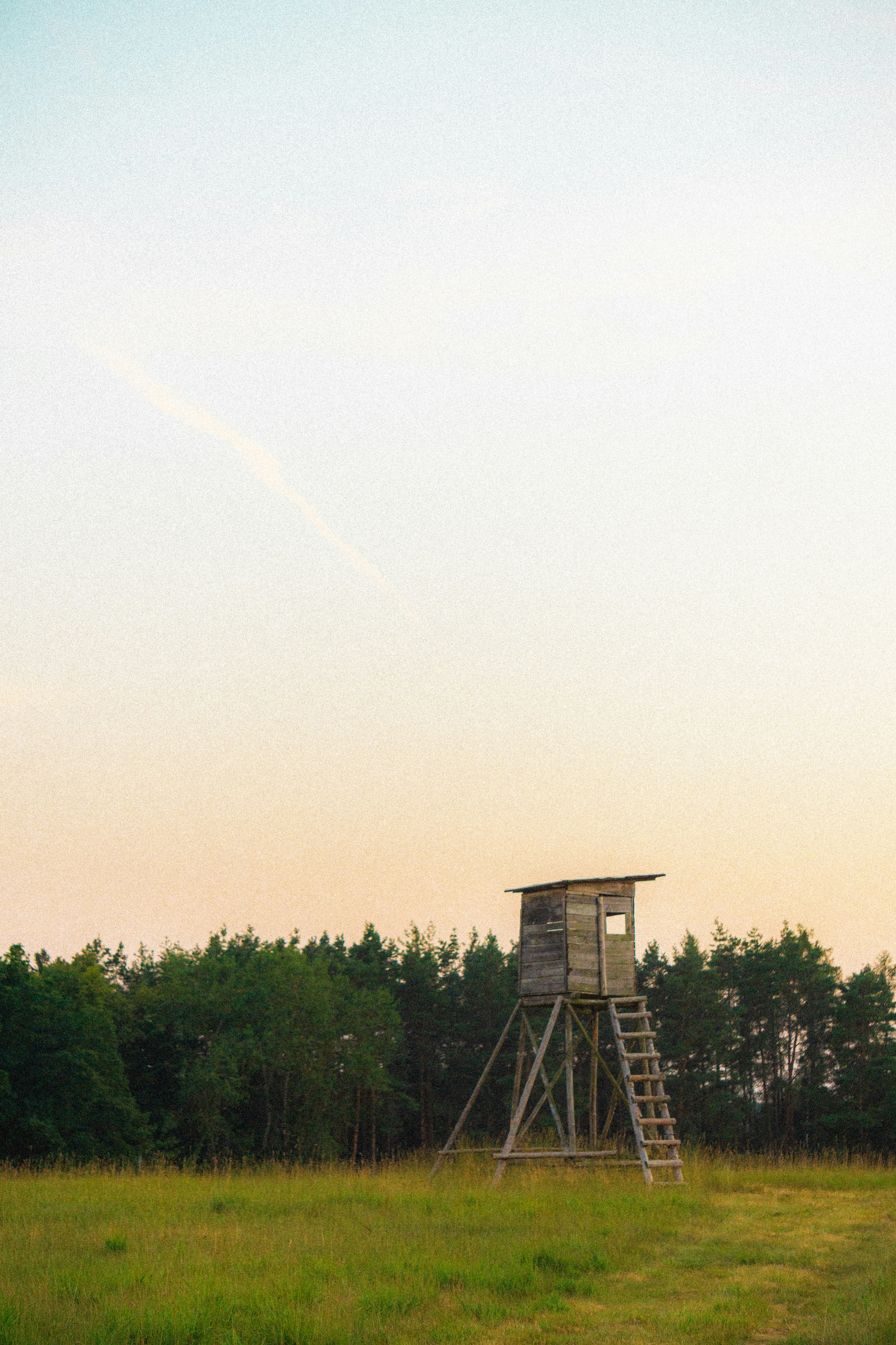 Photo by davidbenesph