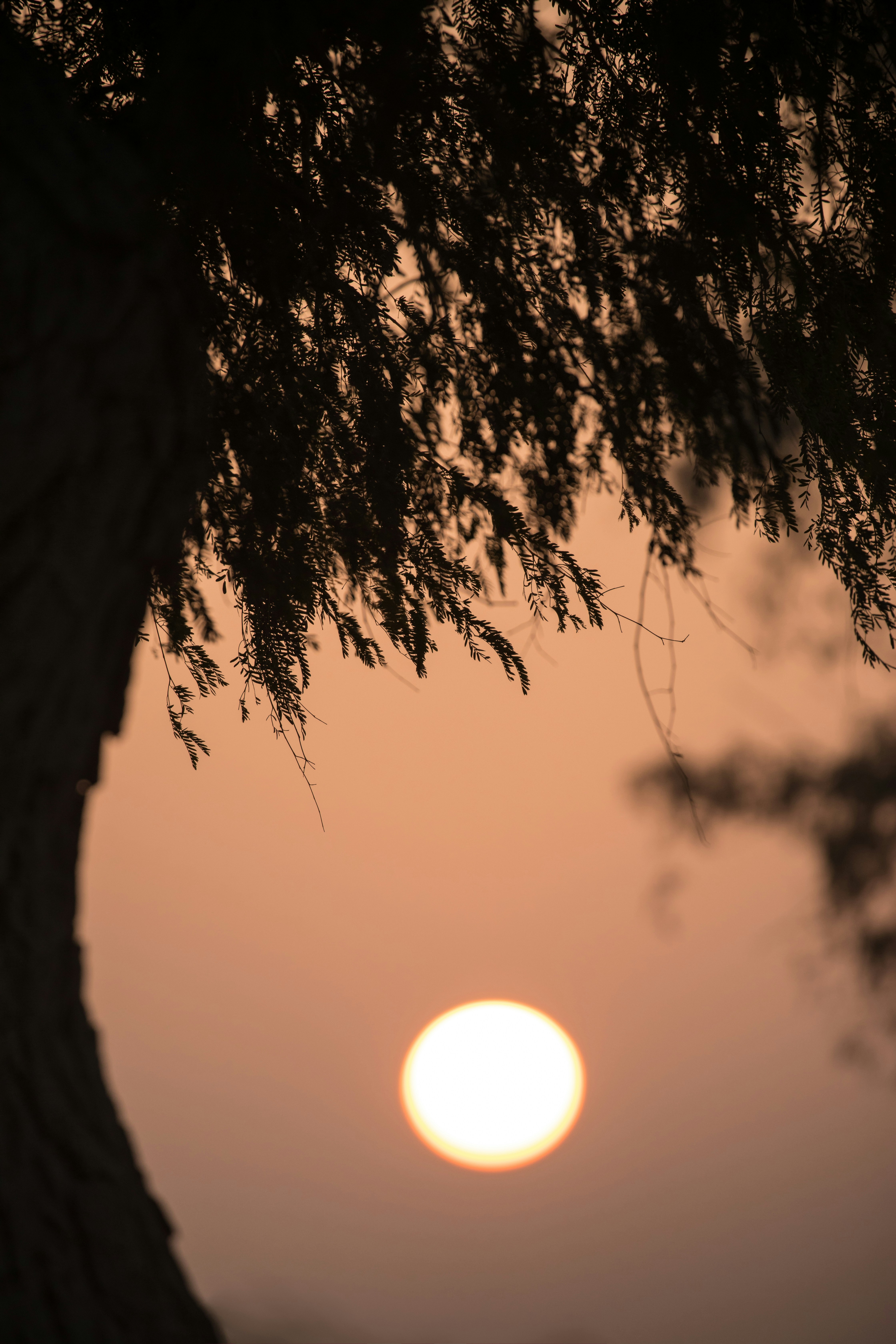 Photo by _rohan_joshi