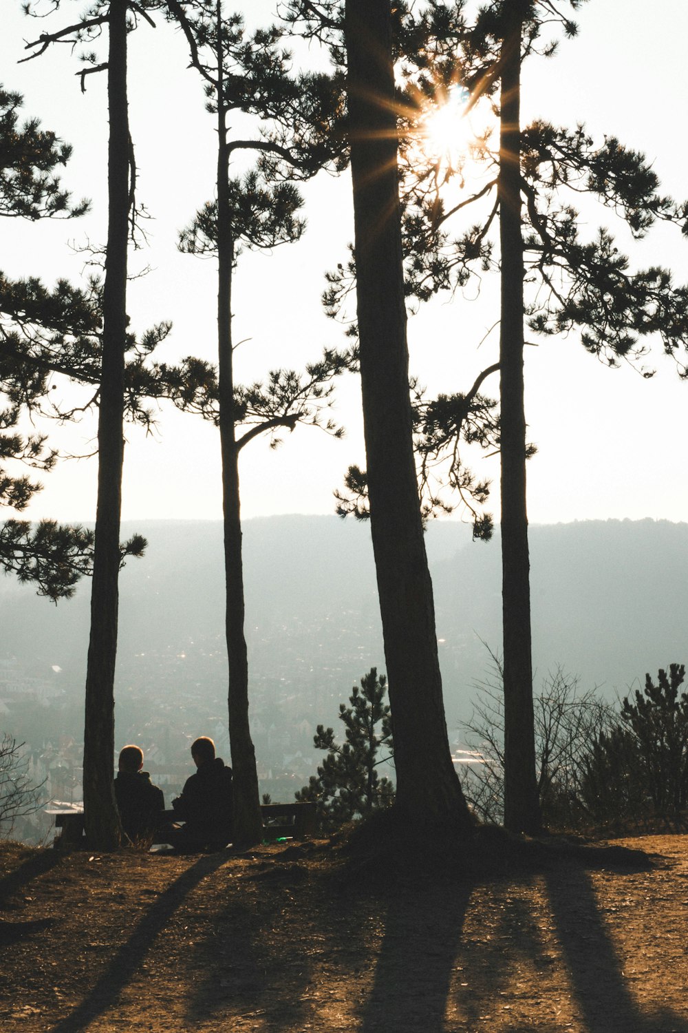 Personas sentadas en un banco cerca de los árboles durante el día