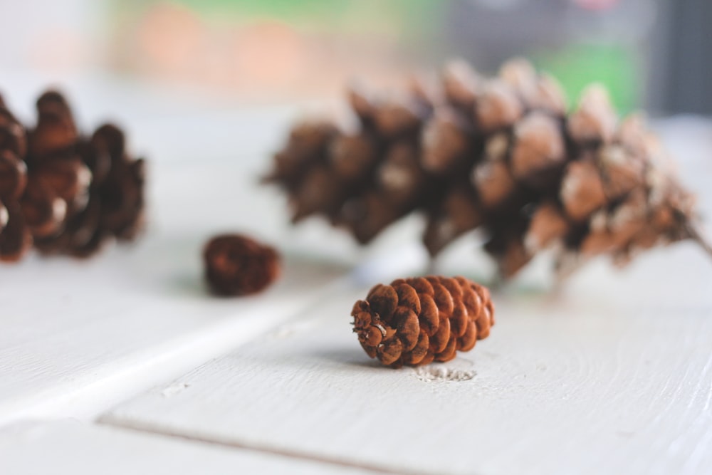 brown pine cone on white table