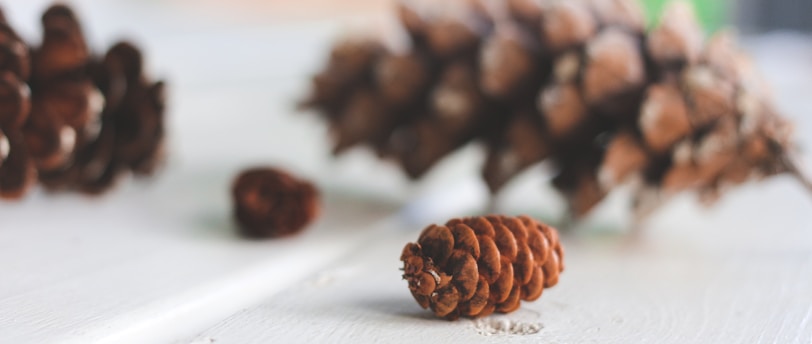 brown pine cone on white table