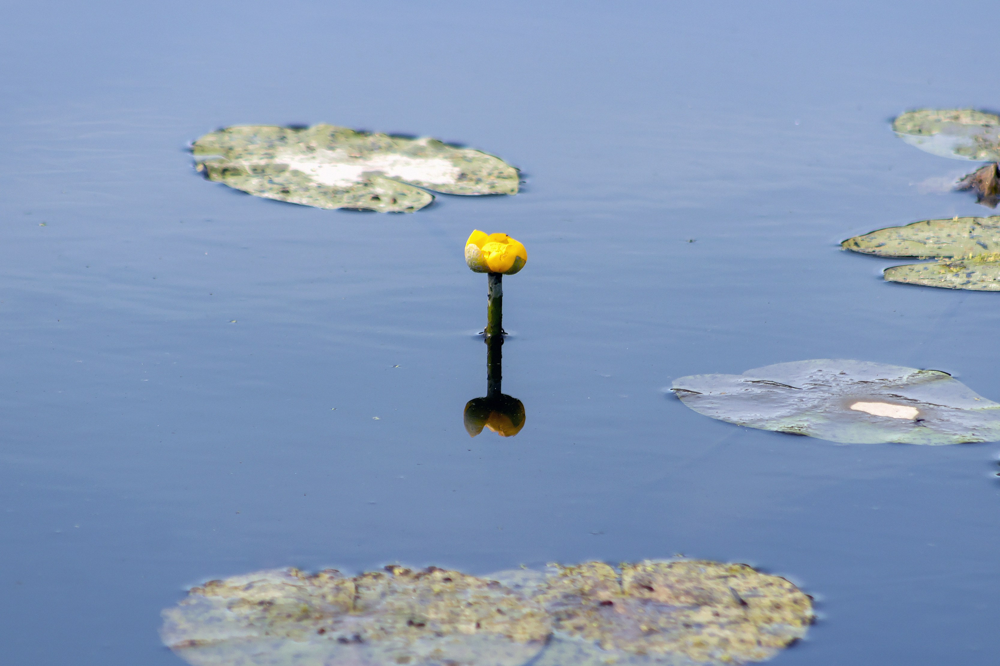 Gyor – Accommodation & Where to Stay