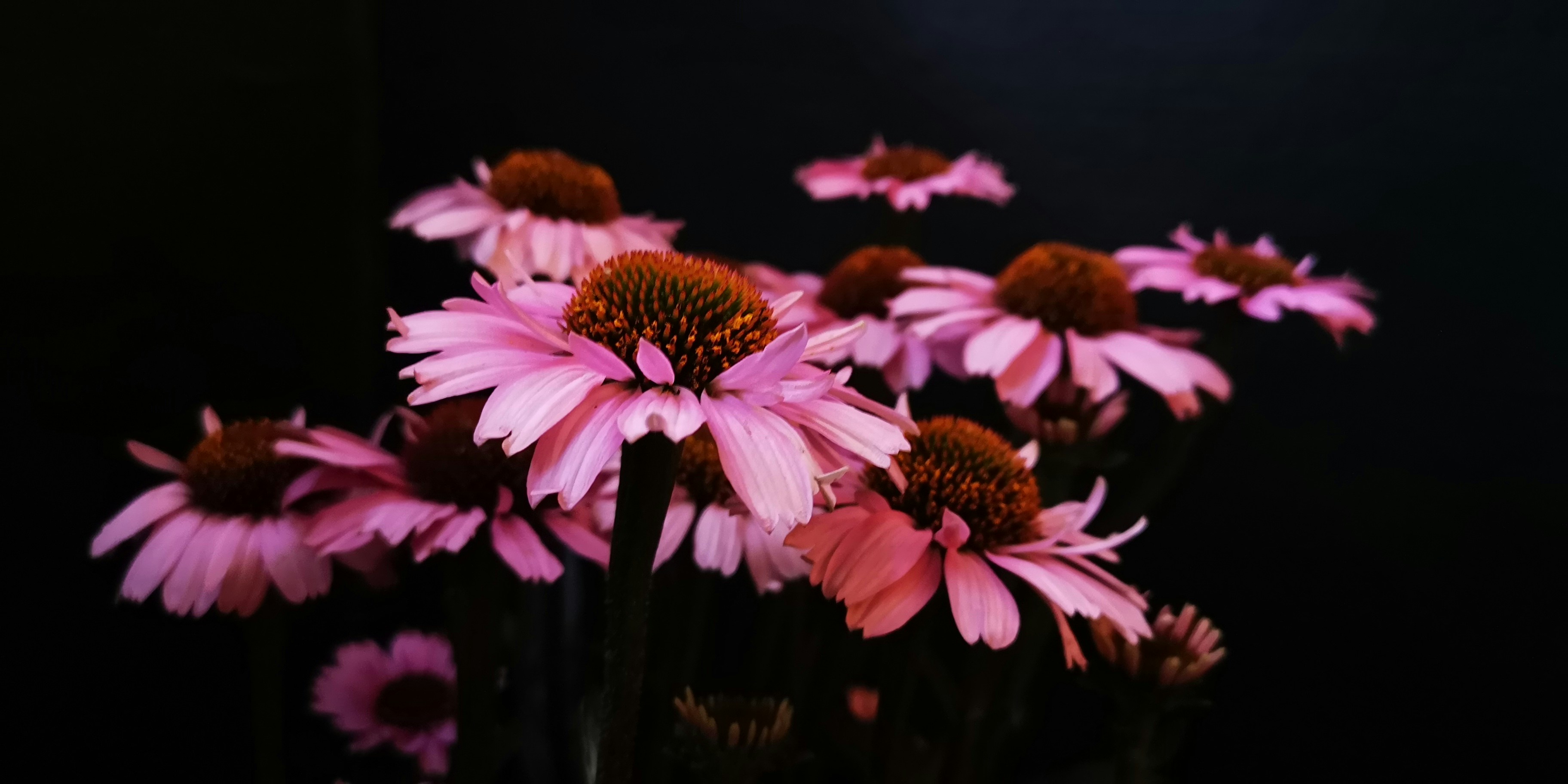 Photo by chantalgarnier