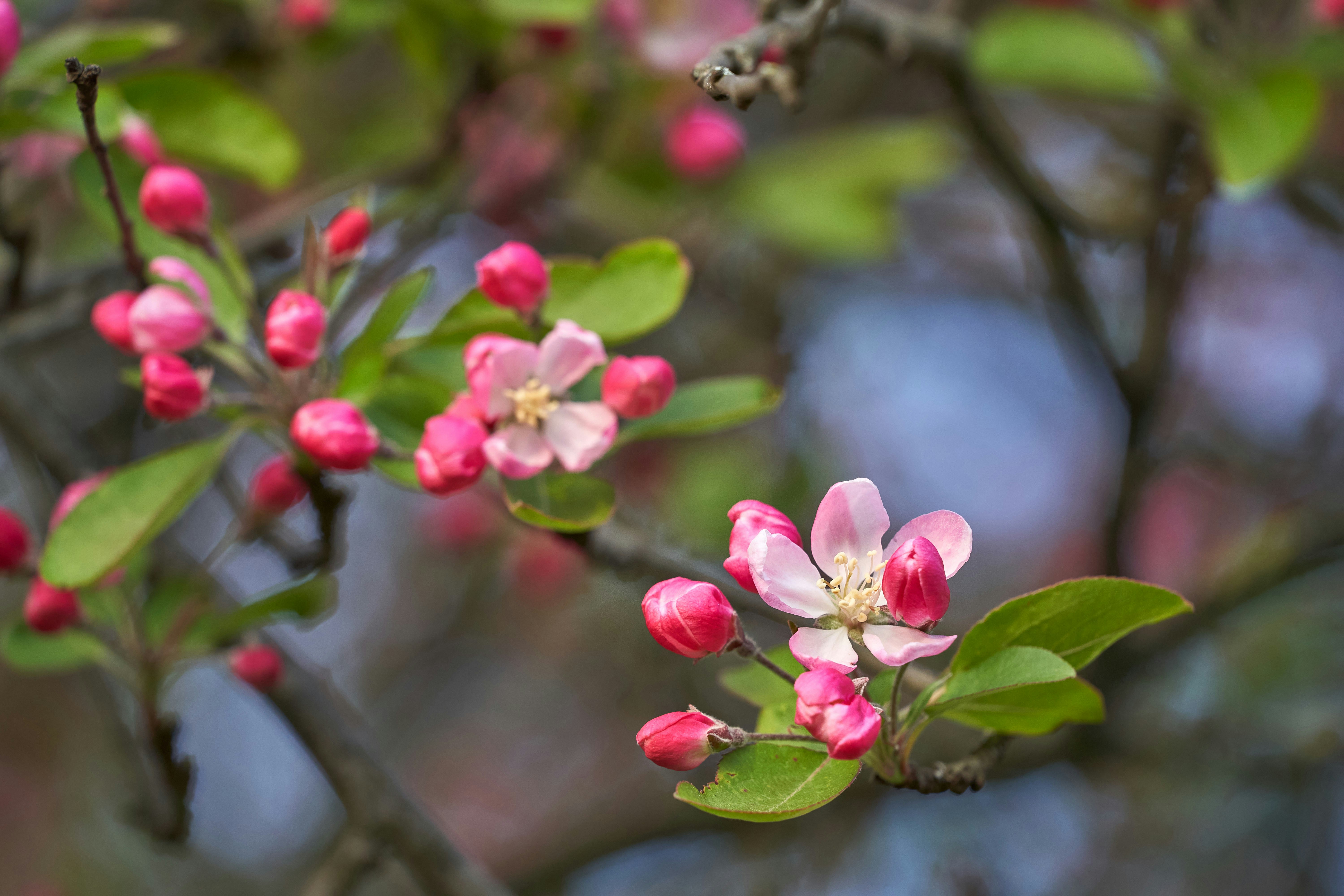 Photo by wolfgang_hasselmann