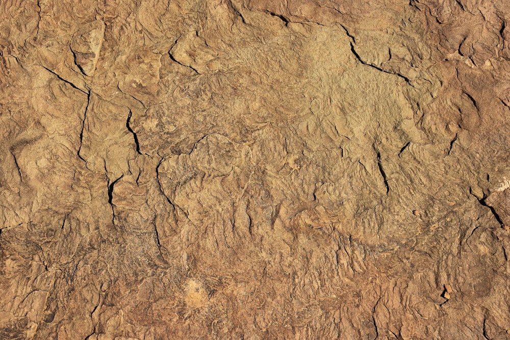 brauner Sand mit Wasser tagsüber