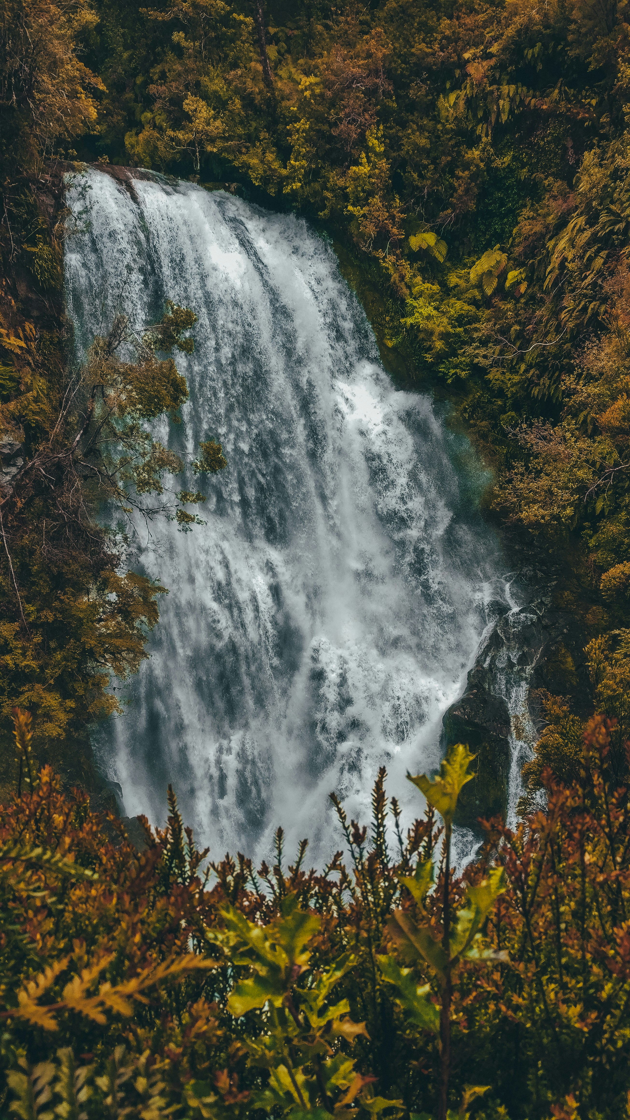 green and yellow trees beside waterfalls