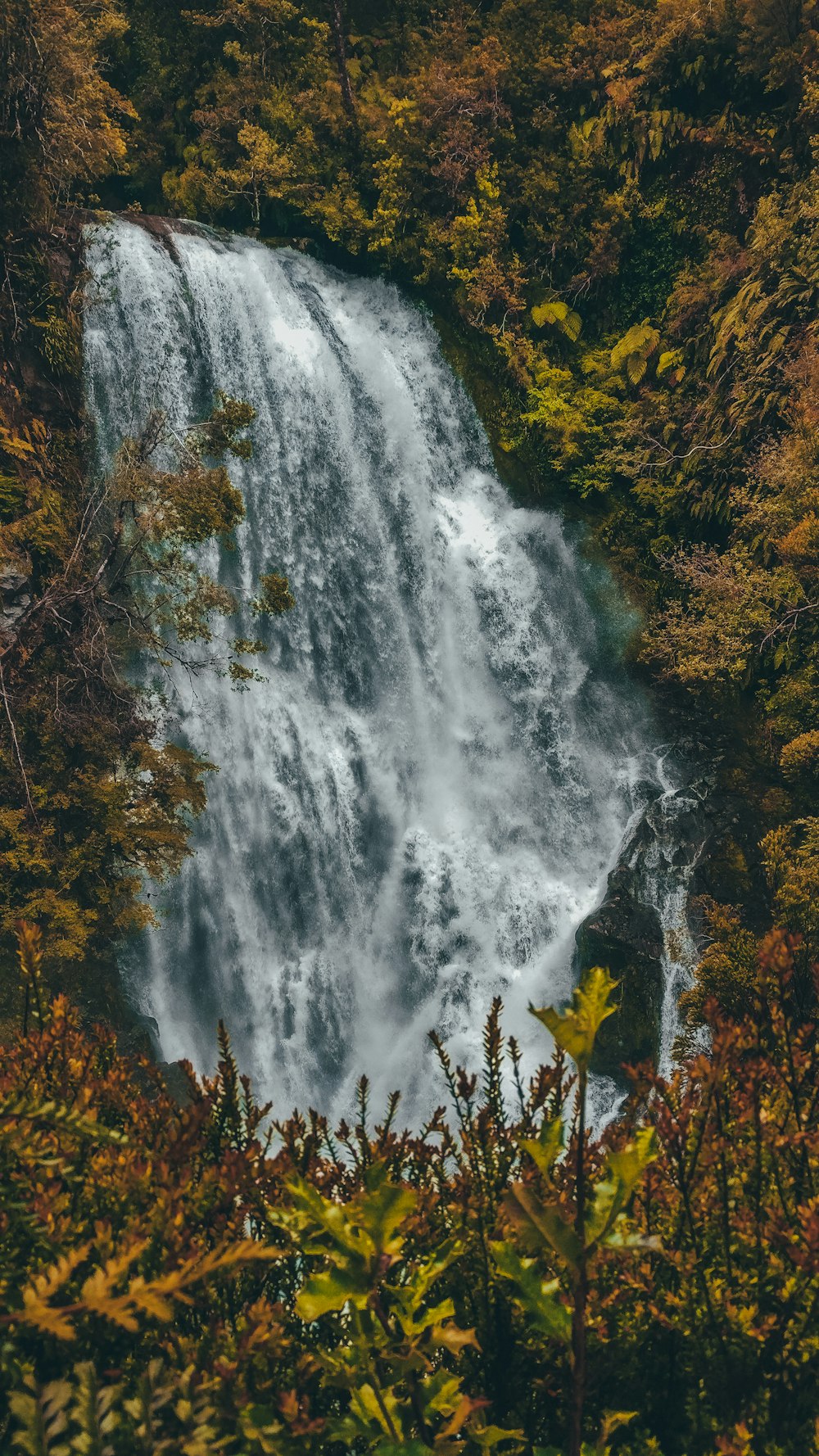 green and yellow trees beside waterfalls
