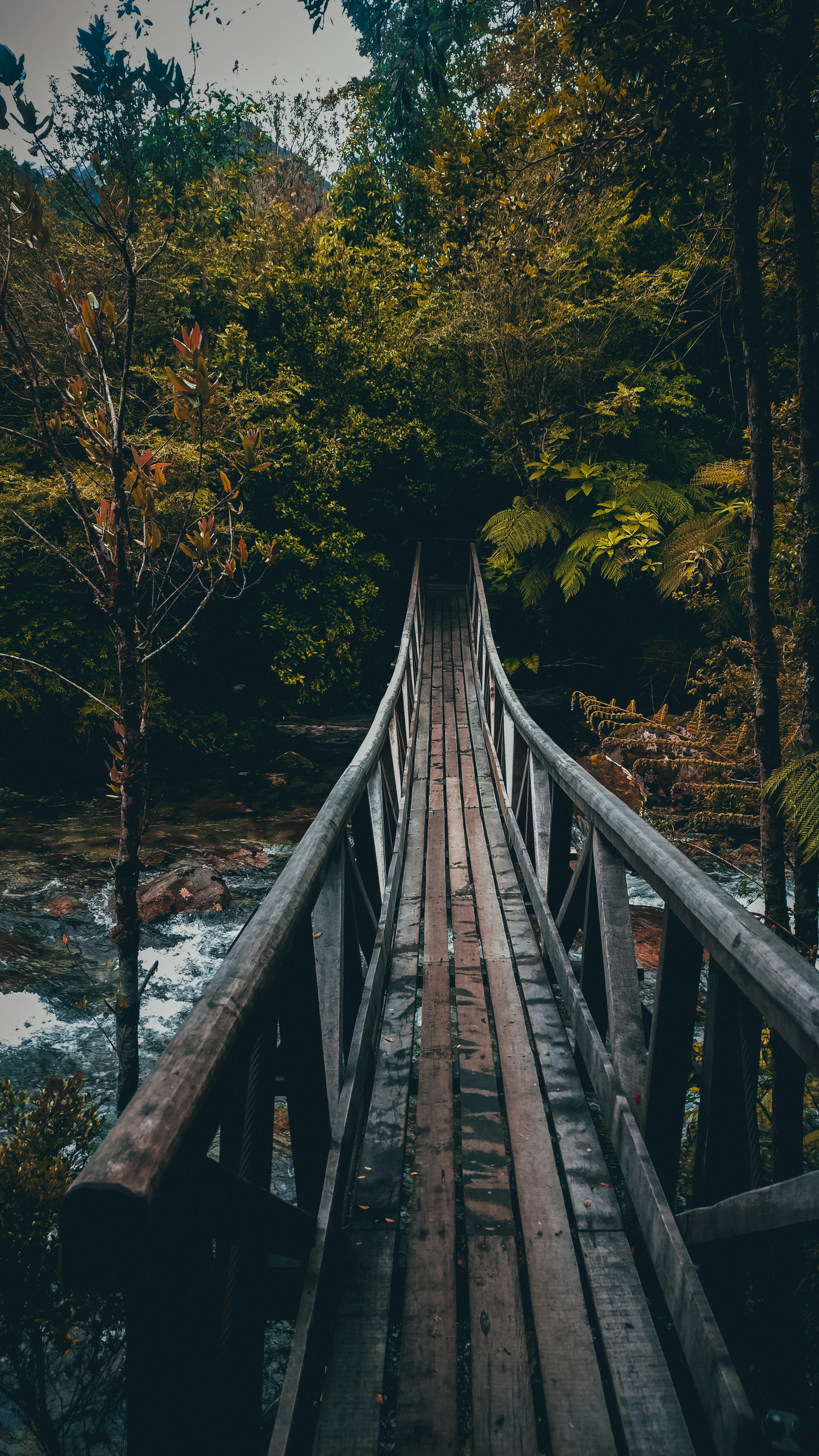 Photo by nicolcastillo