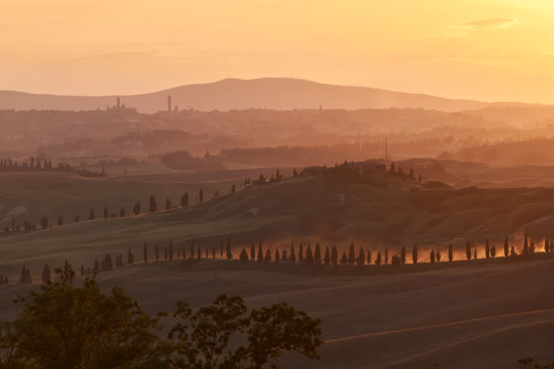 Top Local Restaurants in Siena Every Food Lover Needs to Know