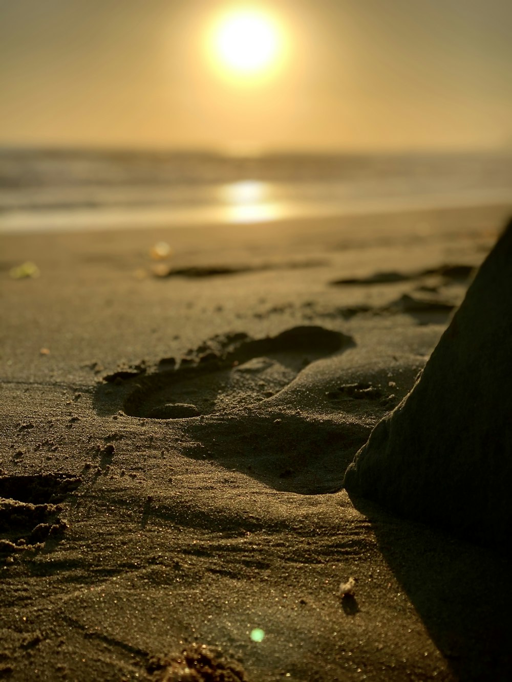 black sand on beach during sunset