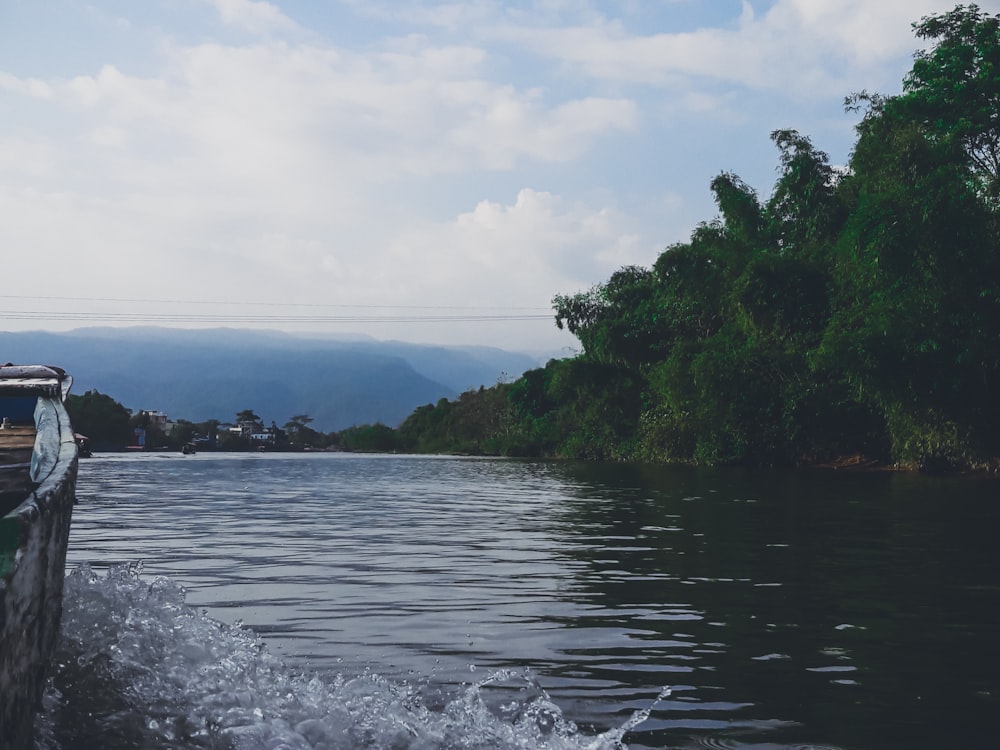 green trees beside body of water during daytime